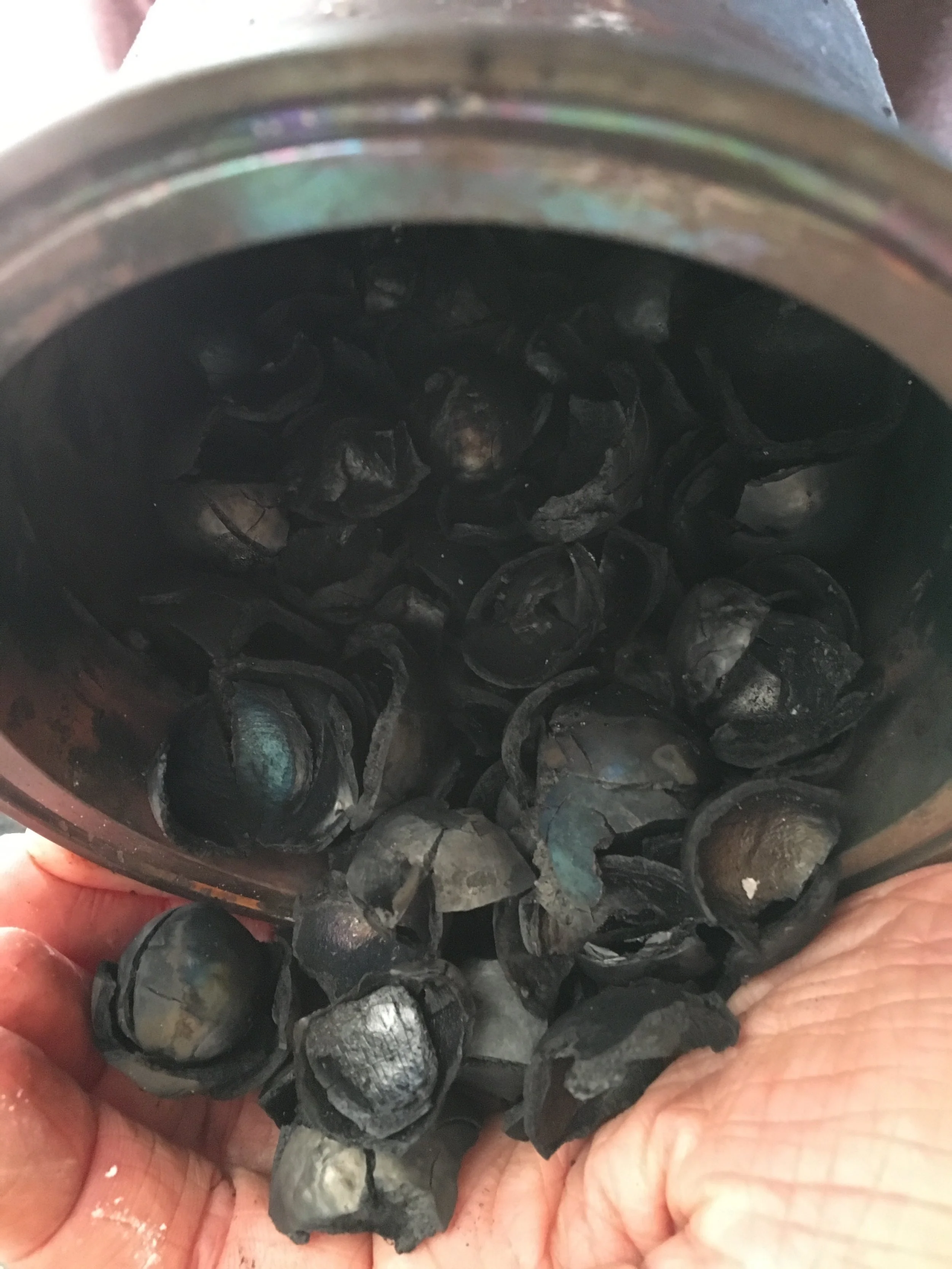 biochar burner2.jpeg