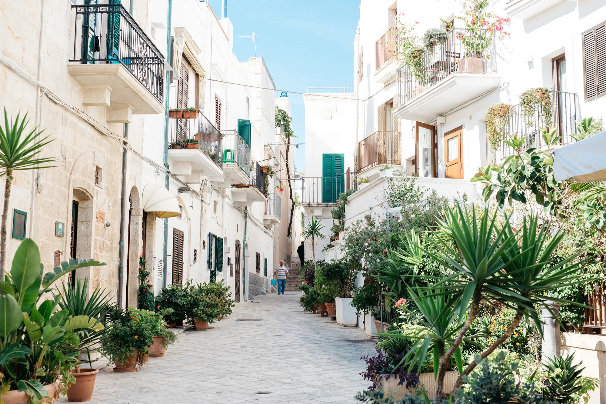 Polignano a mareweb.jpg