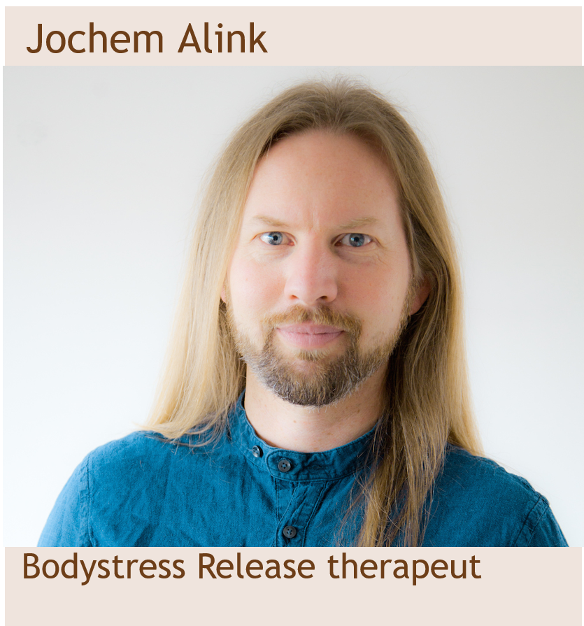Jochem Alink.png