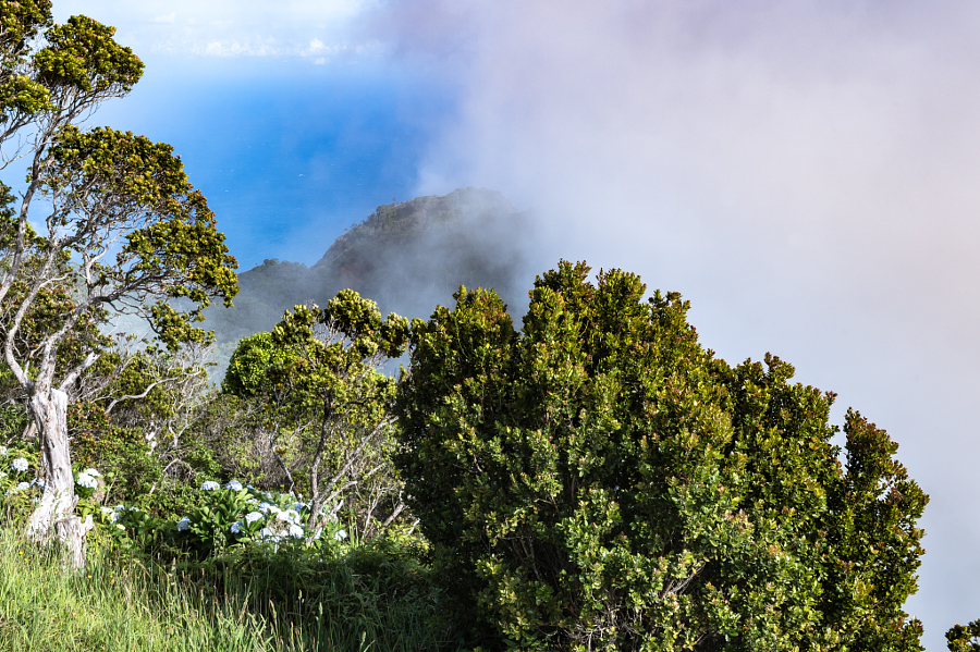 A Peak at Waimea Valley Through the Clouds