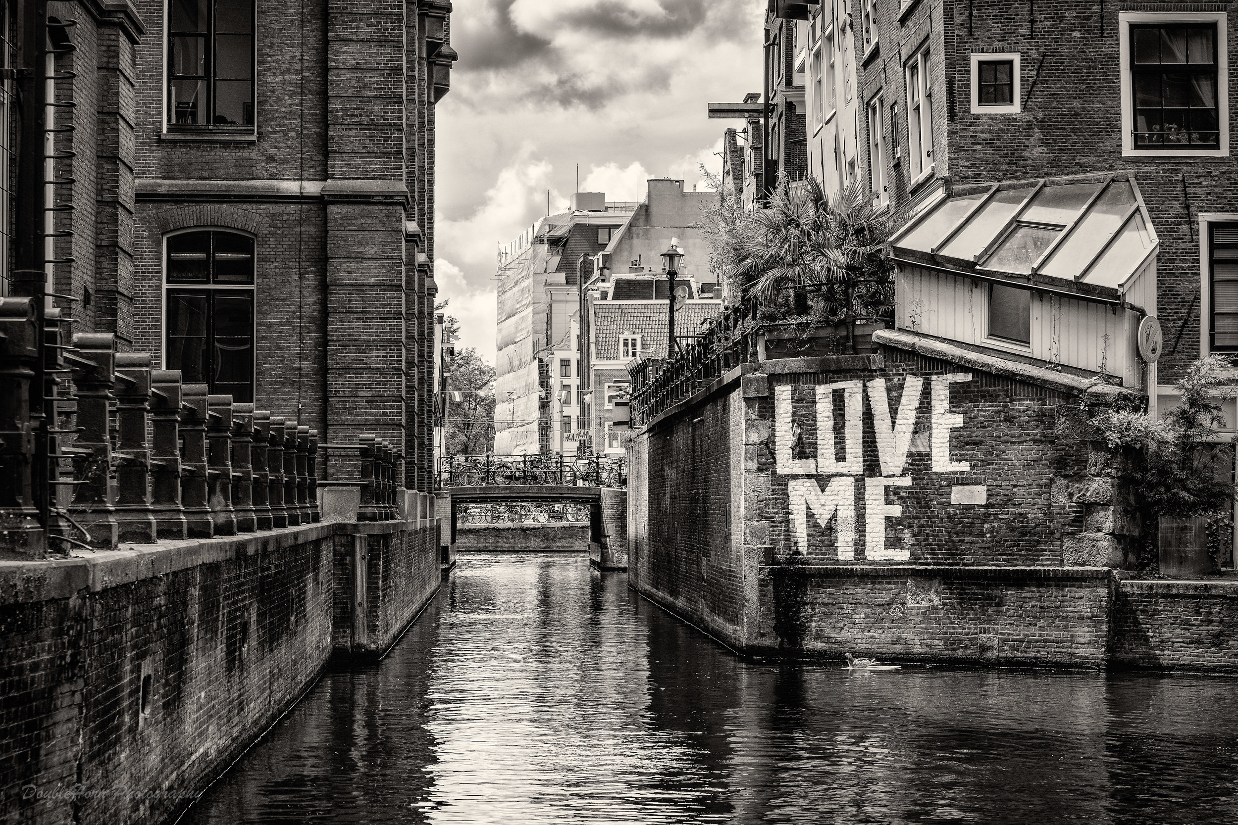 Amsterdam Love Me Web.jpg