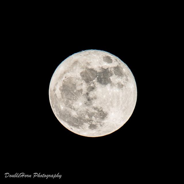 If you're a photographer on Instagram you gotta have one!#obligatorysupermoonphoto #supermoon2016 #supermoon #space #perigee #photography #astrophotography #astronomy #moon #fullmoon #d800 #nikon