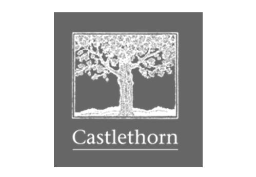 castlethorn jpg.JPG