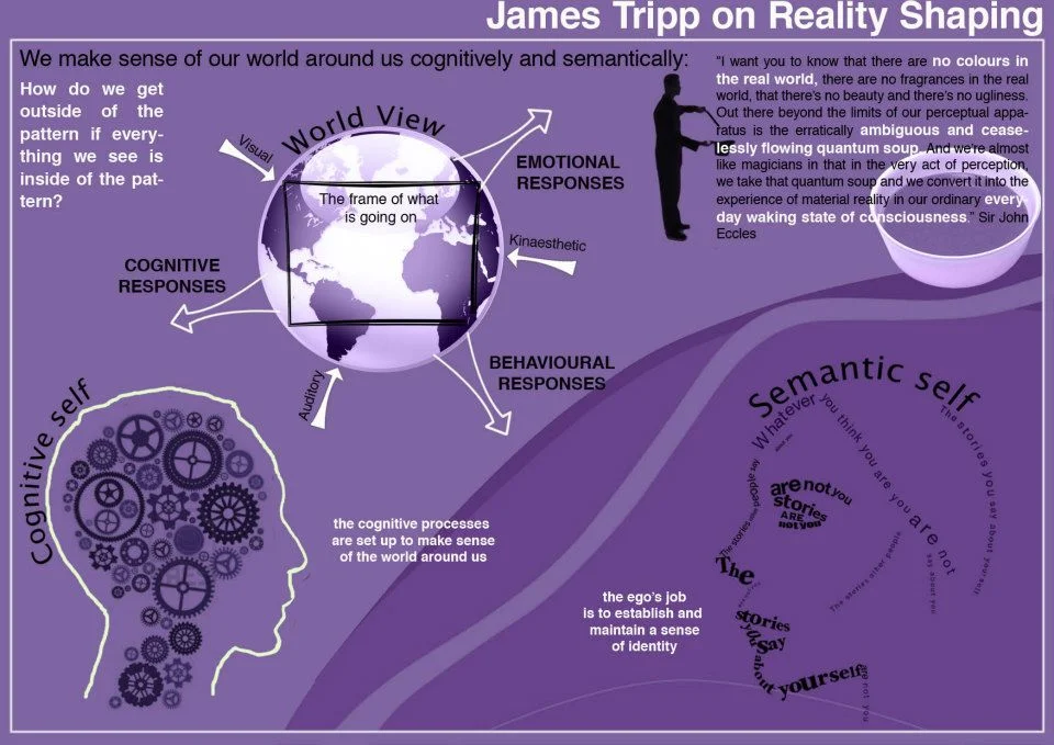 James Tripp on Reality Shaping.jpg