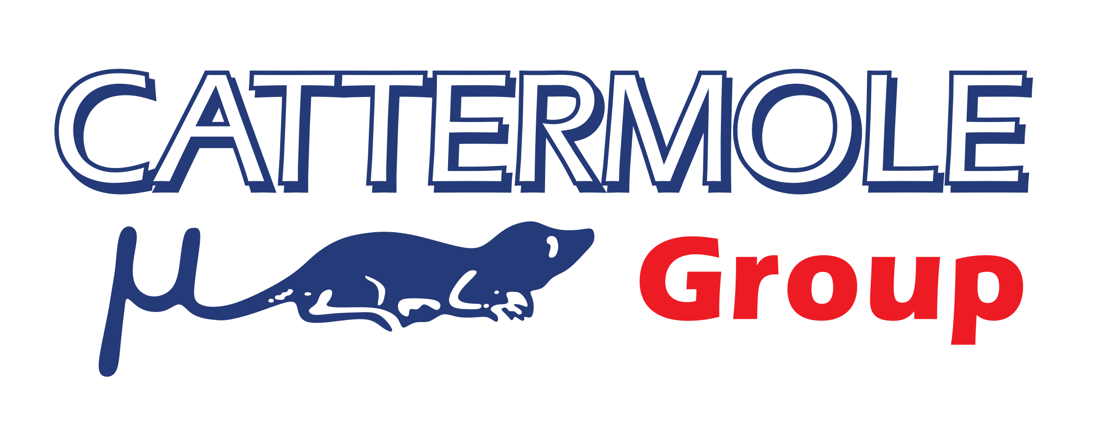 Cattermole-Group=Logo.png