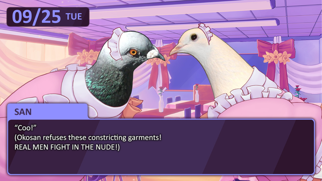 hato1.jpg