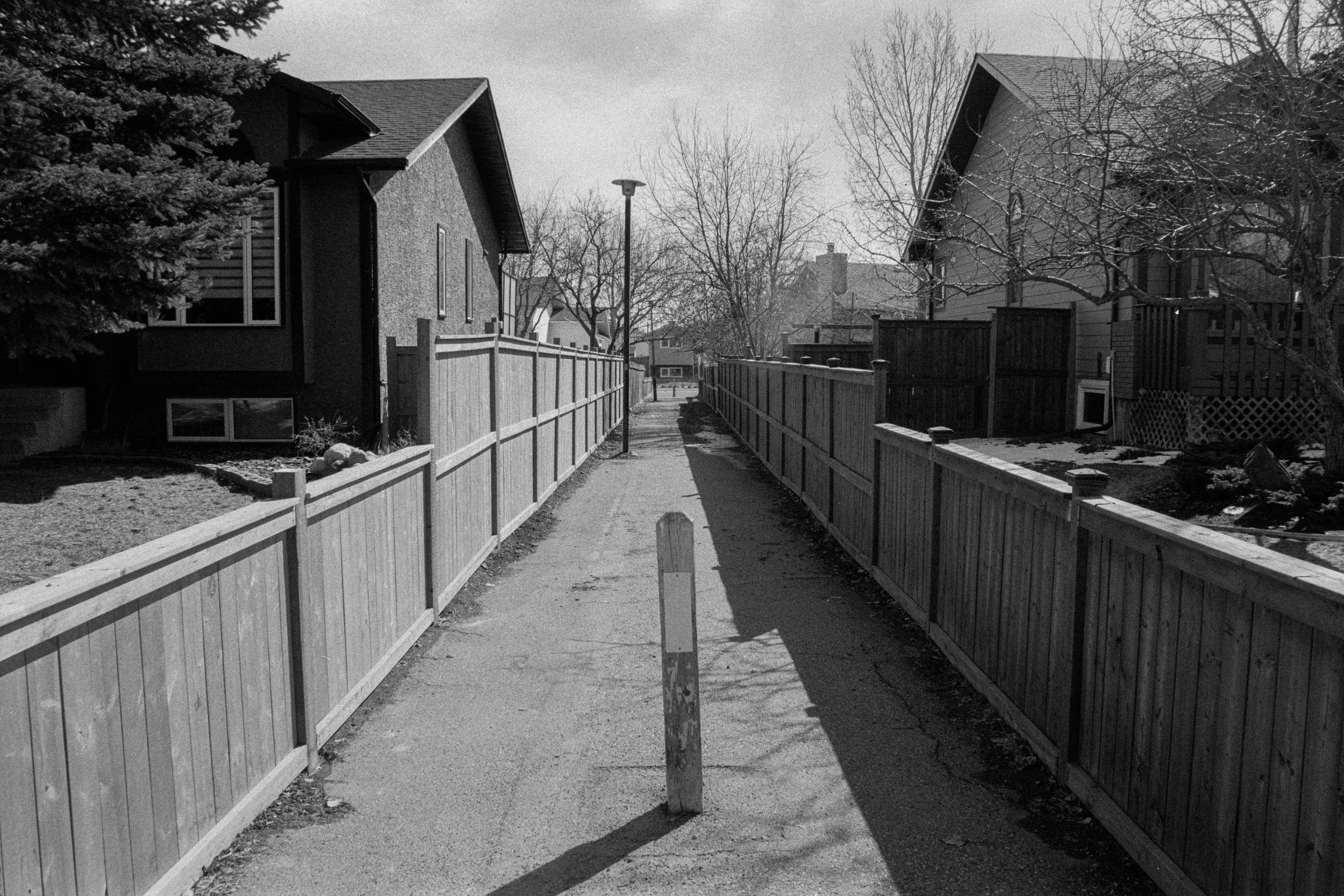 ricardo-franzen-fotografo-photographer-canada-vlogger-black-and-white-ilford-hp5-400-1.jpg