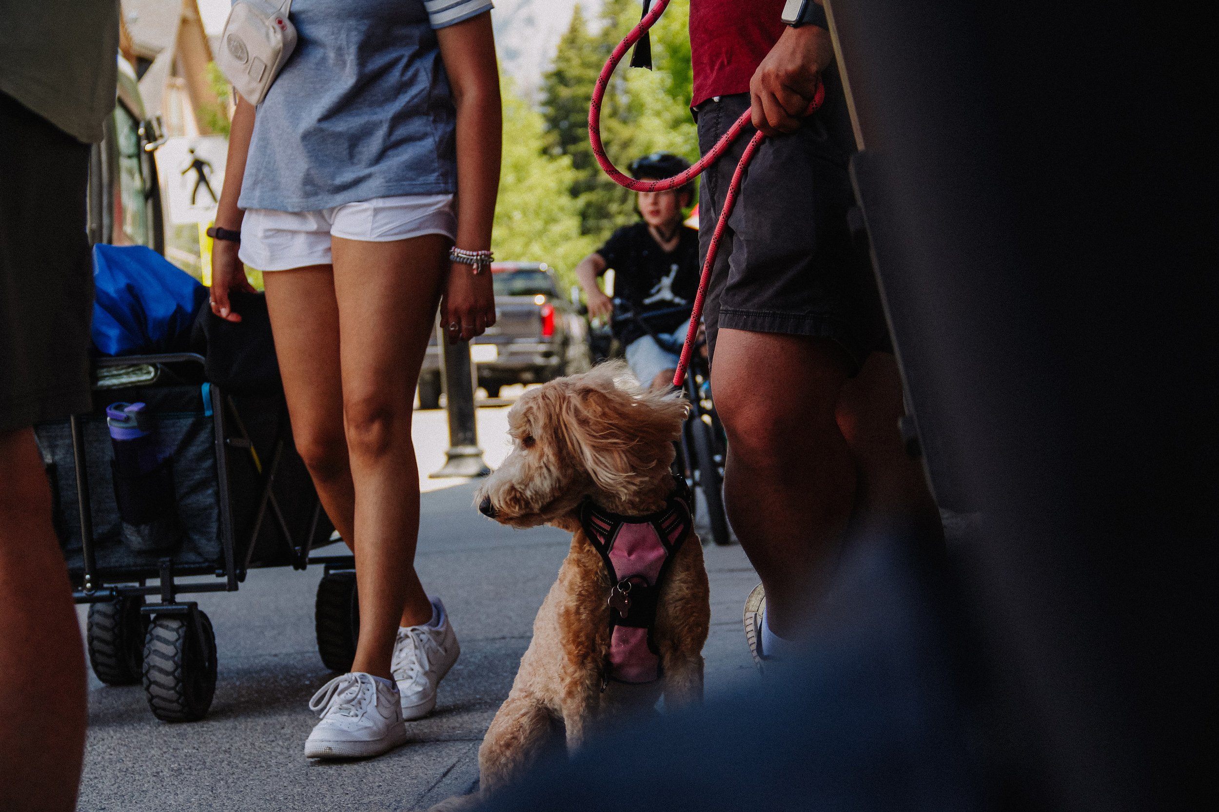 Canada-day-canmore-emma-franzen-fotografa-mirim-ricardo-franzen-canon-t3i-2025-46.jpg