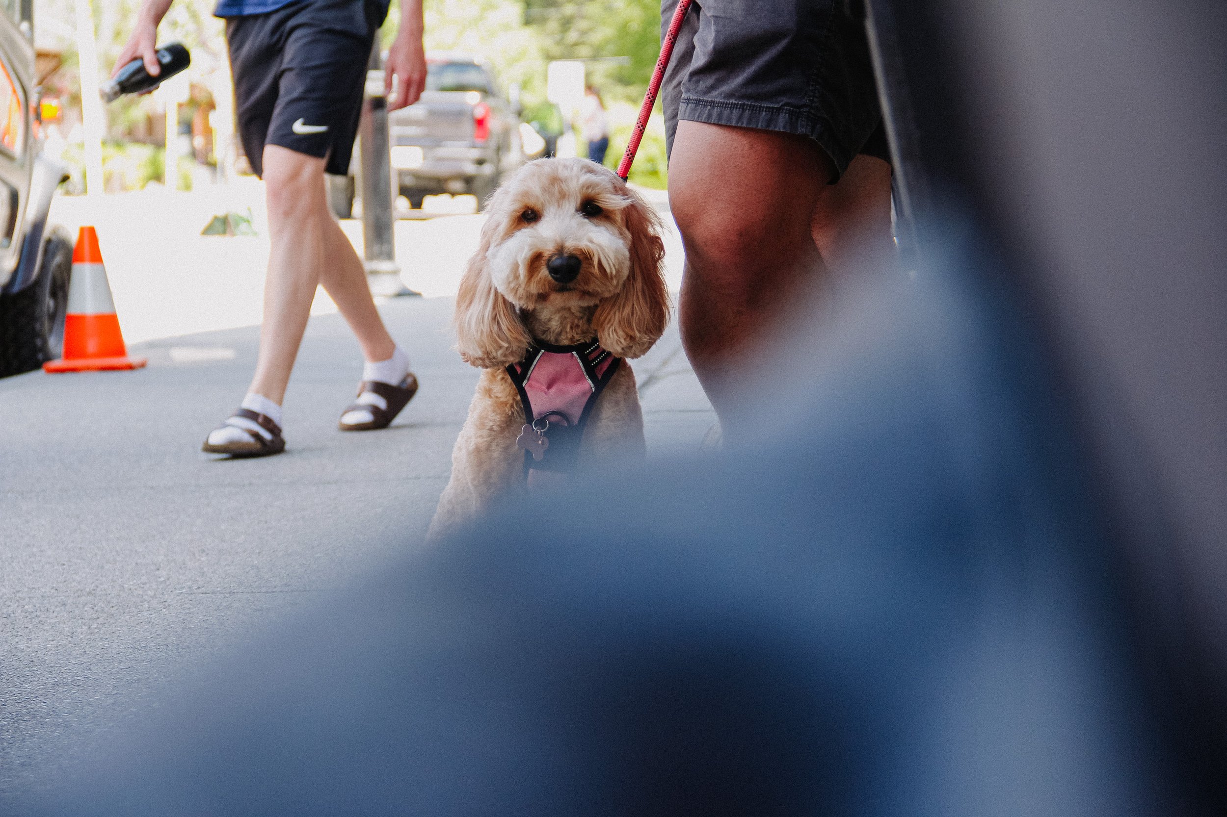 Canada-day-canmore-emma-franzen-fotografa-mirim-ricardo-franzen-canon-t3i-2025-47.jpg