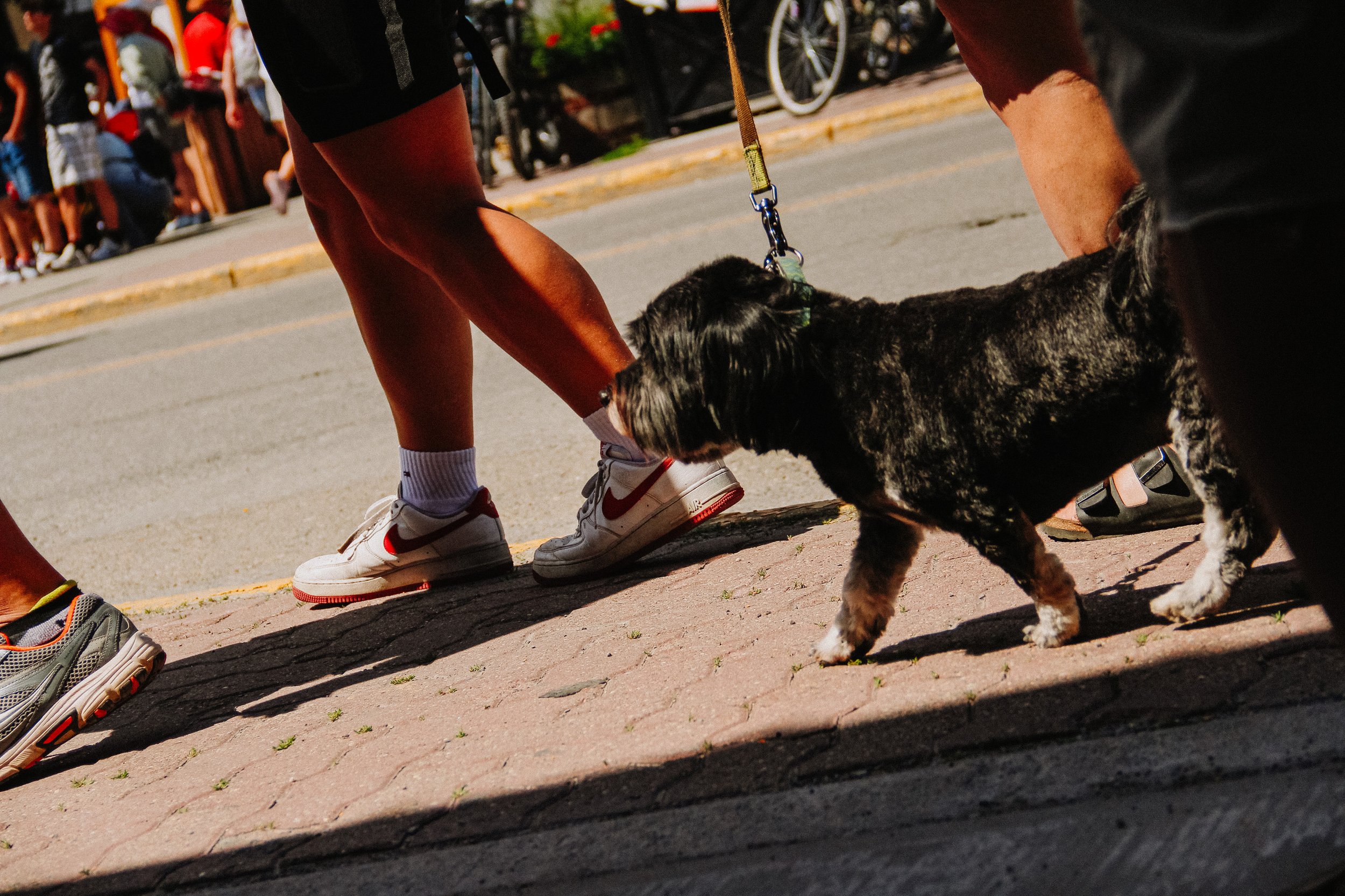 Canada-day-canmore-emma-franzen-fotografa-mirim-ricardo-franzen-canon-t3i-2025-50.jpg
