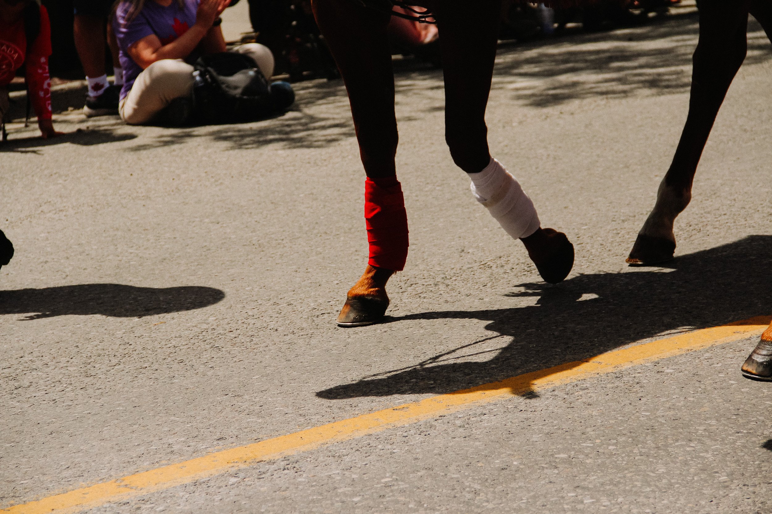 Canada-day-canmore-emma-franzen-fotografa-mirim-ricardo-franzen-canon-t3i-2025-132.jpg