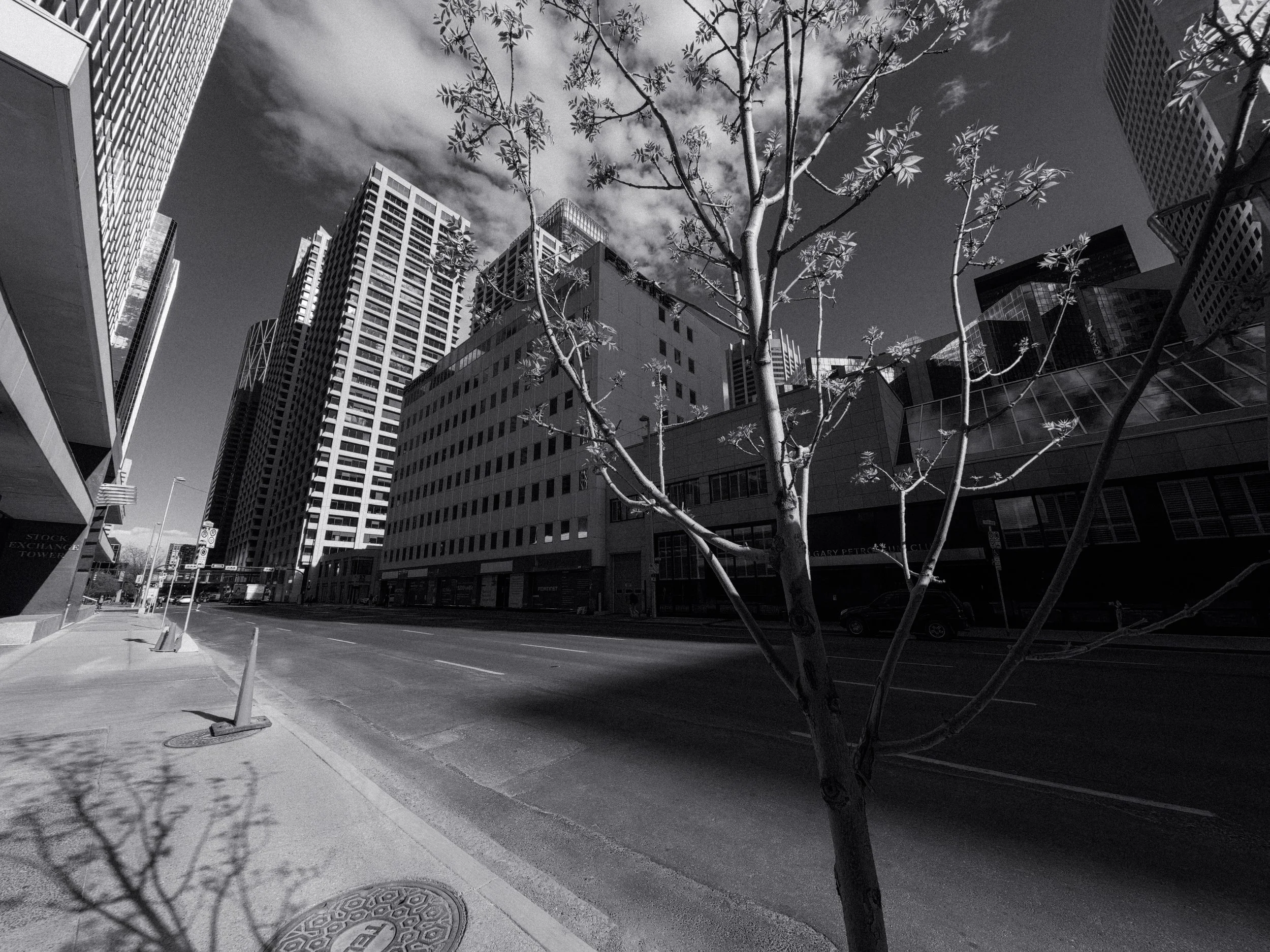 20260514_Street_AcePro2-31.jpg