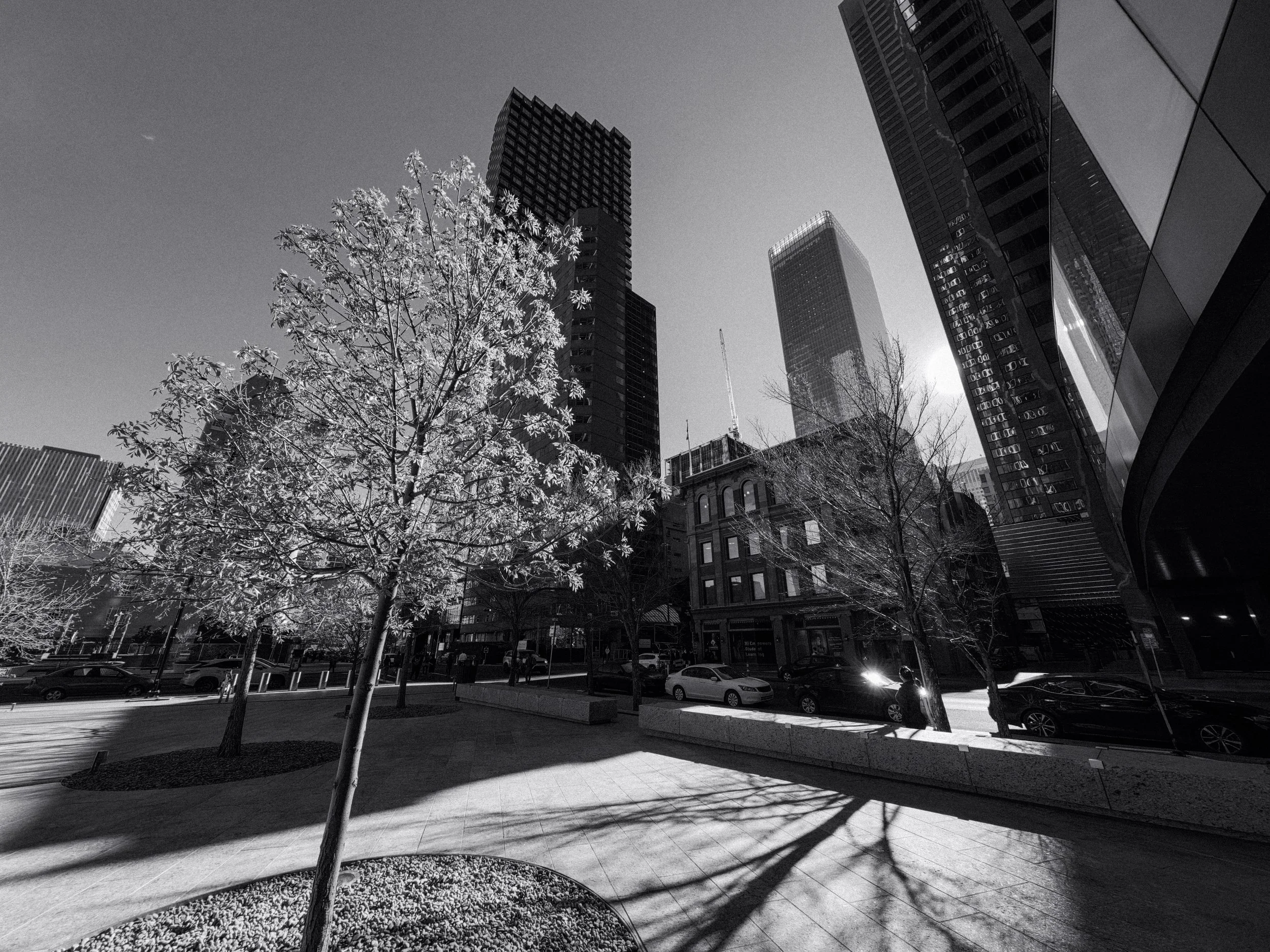 20260514_Street_AcePro2-66.jpg