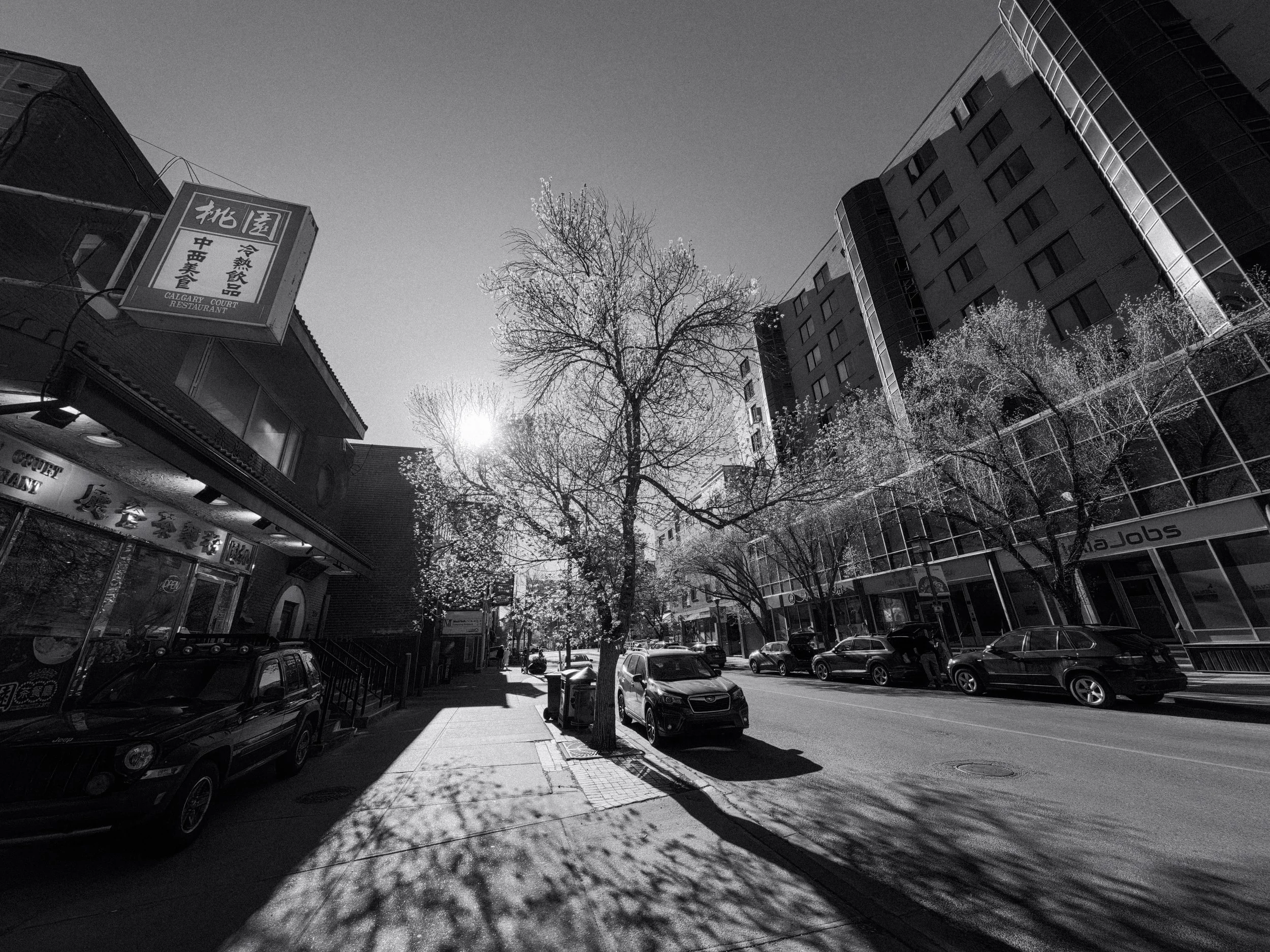 20260514_Street_AcePro2-79.jpg