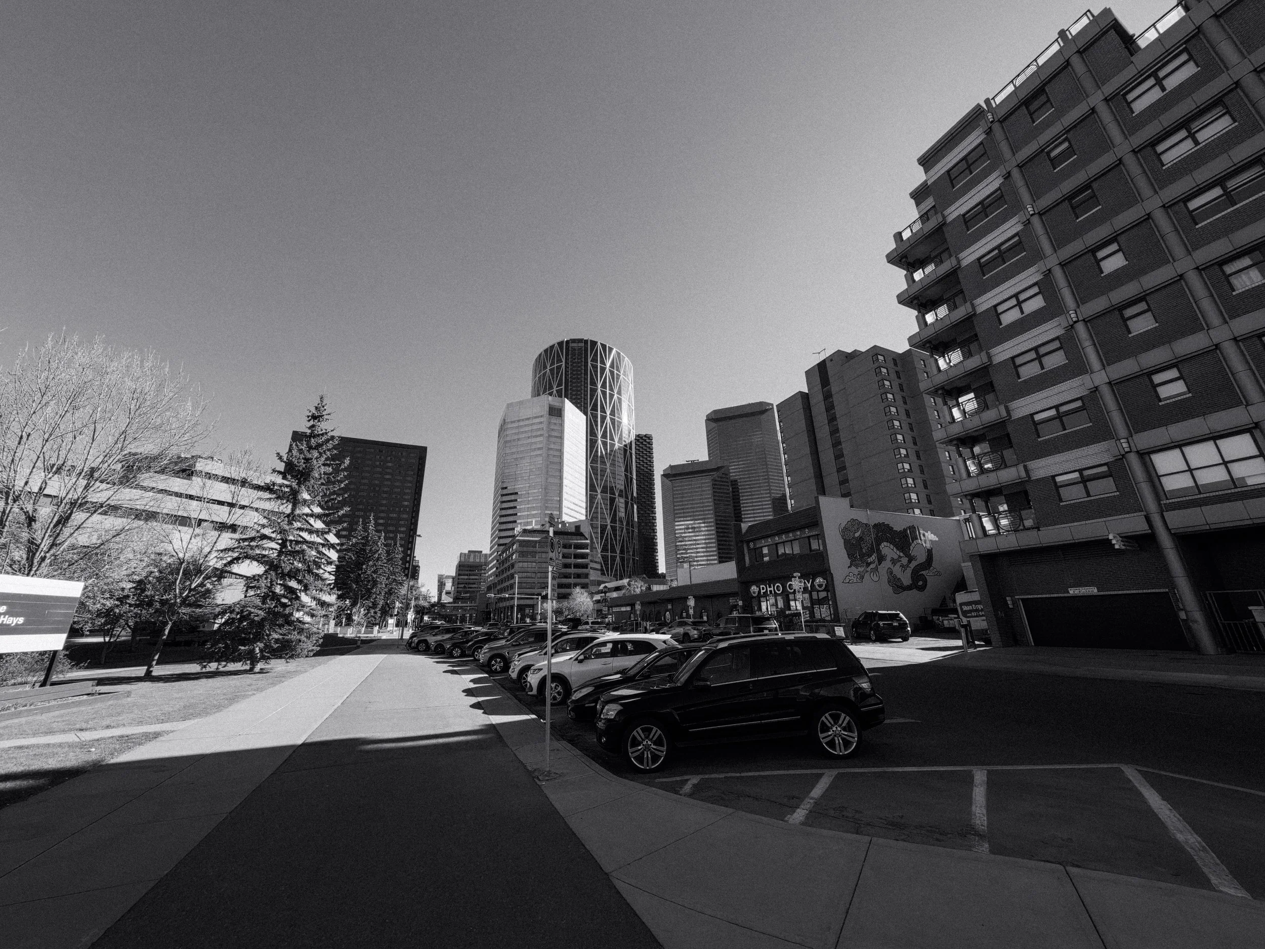20260514_Street_AcePro2-80.jpg