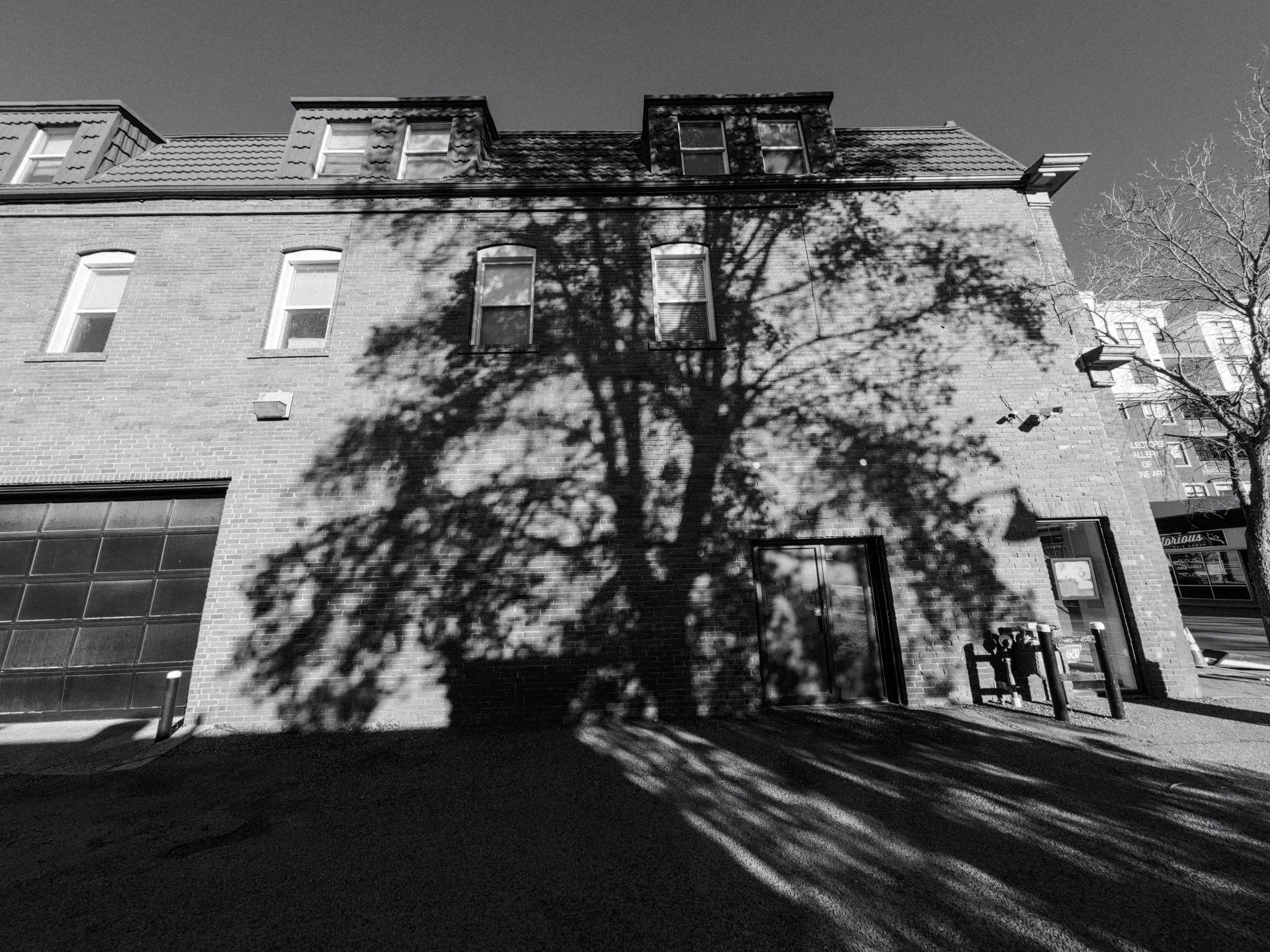 20260514_Street_AcePro2-97.jpg