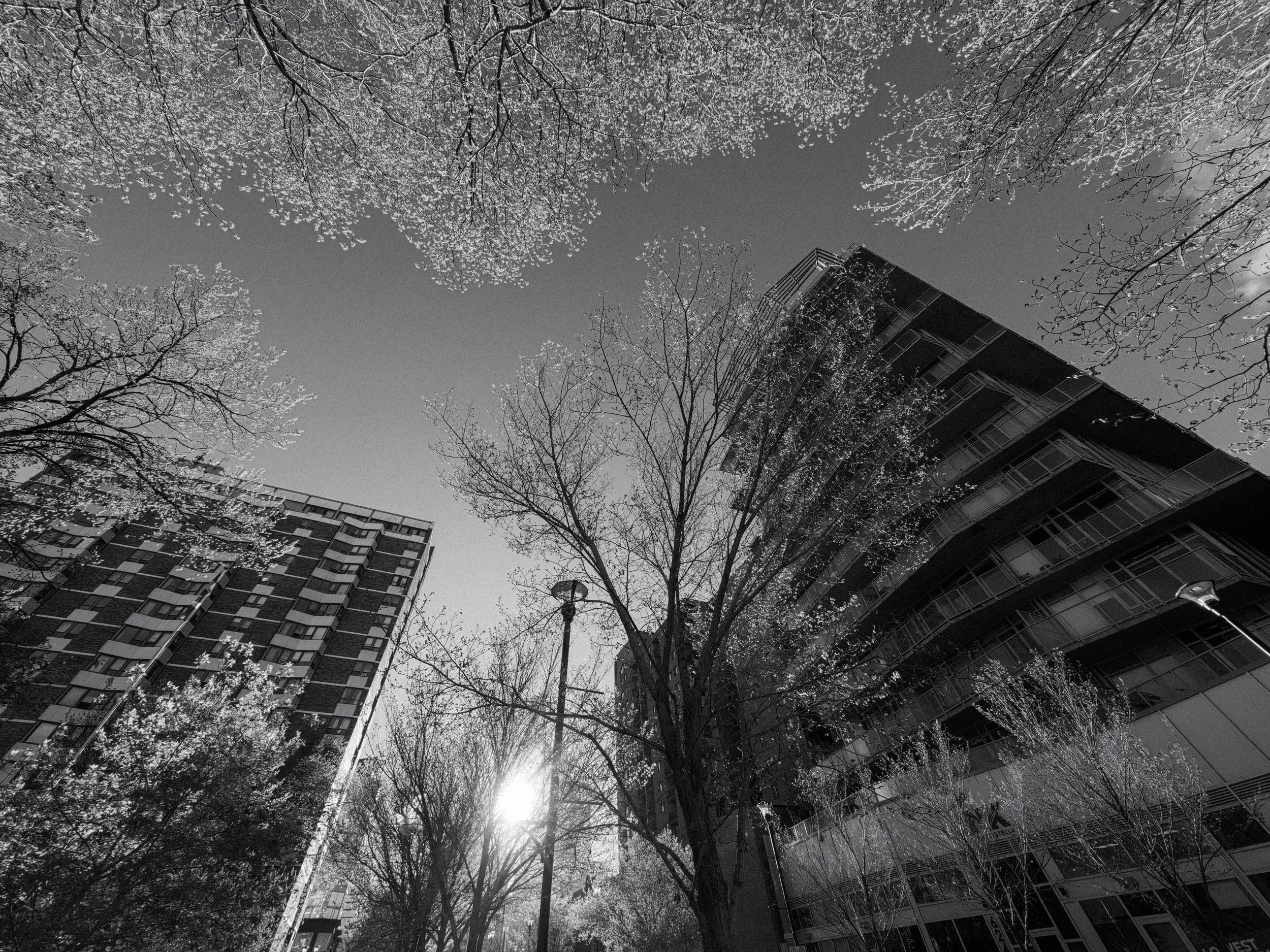 20260514_Street_AcePro2-102.jpg
