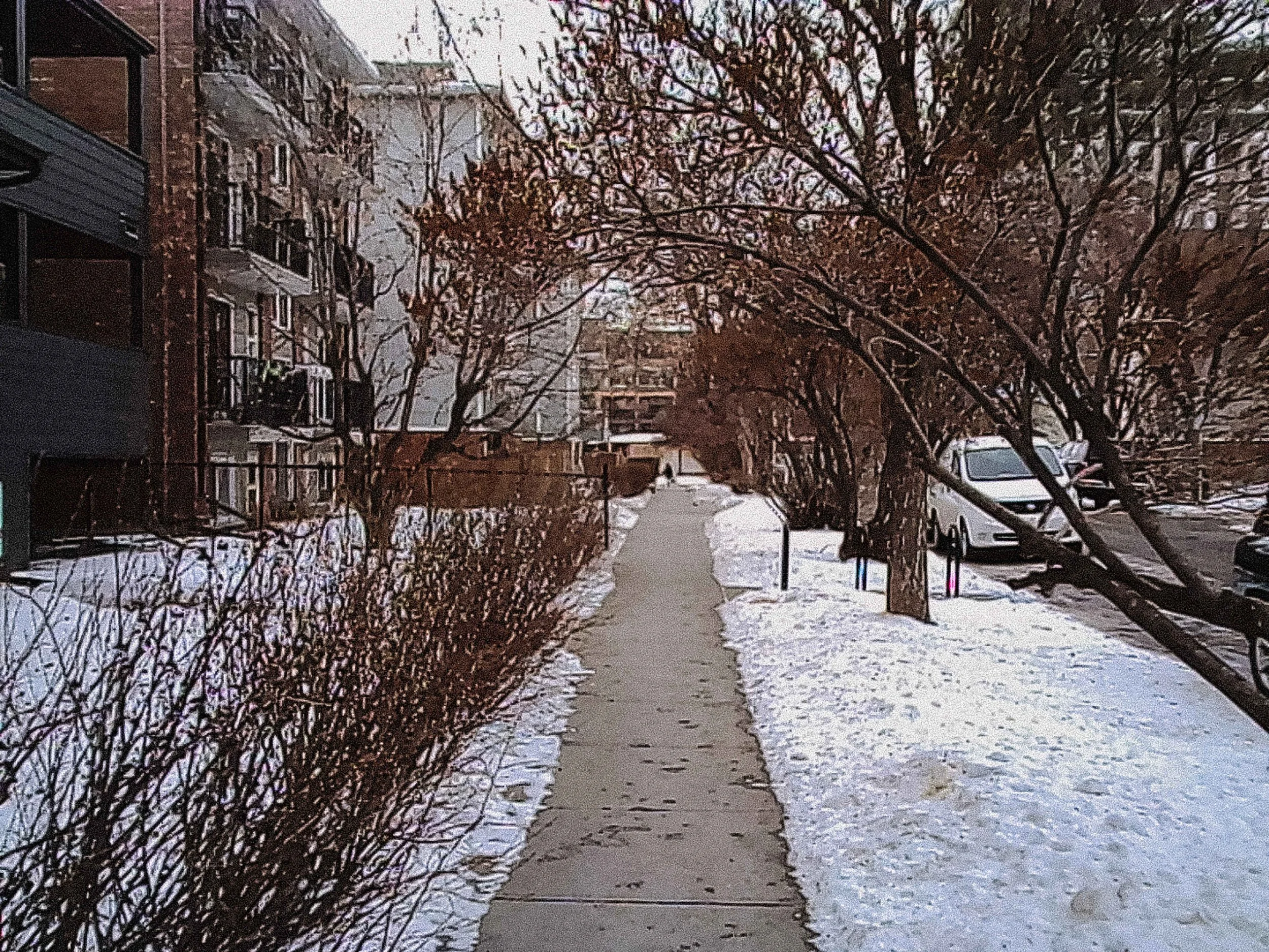 20260109_Street_KodakChamera_31.jpg