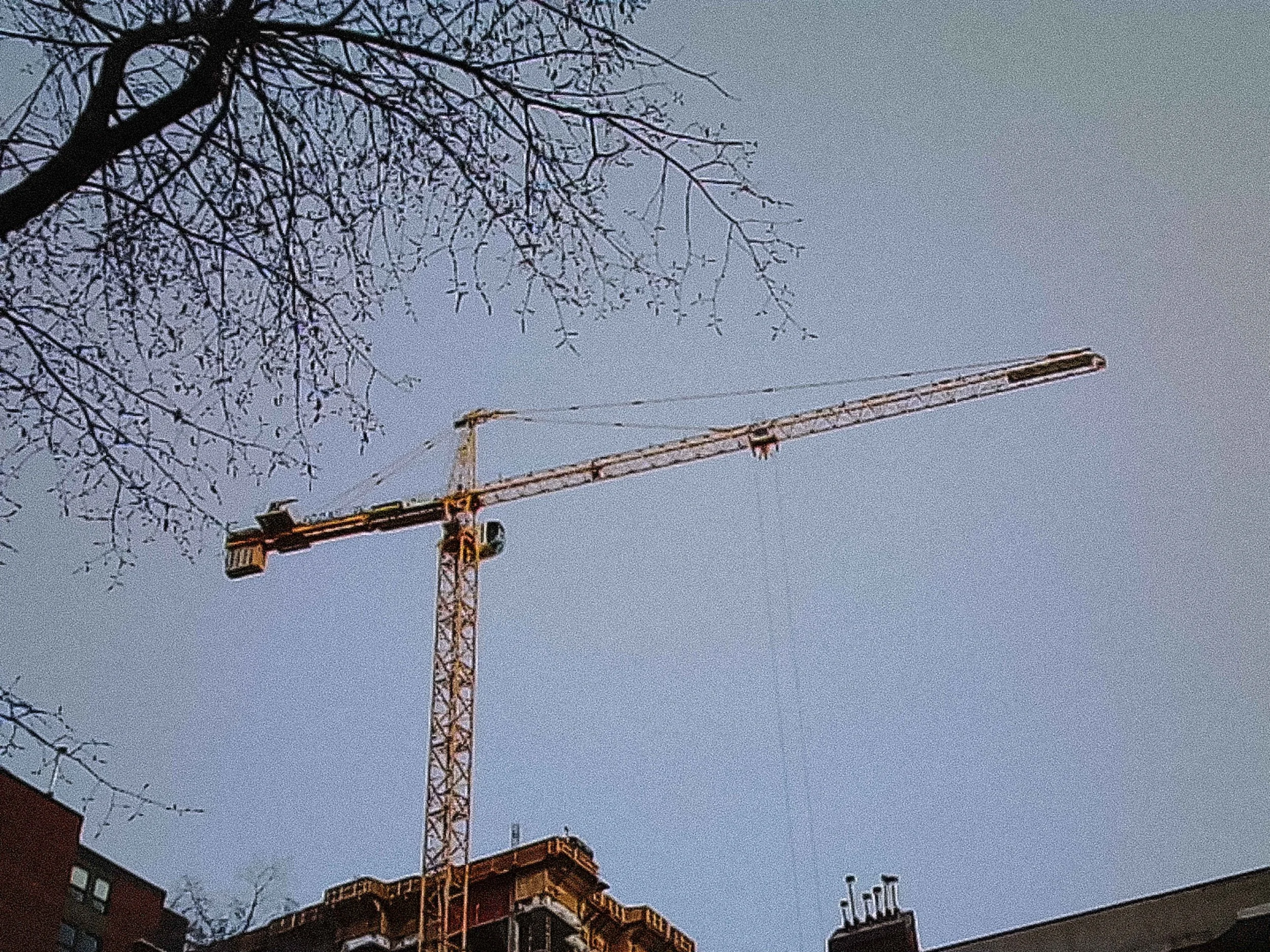 20260109_Street_KodakChamera_38.jpg