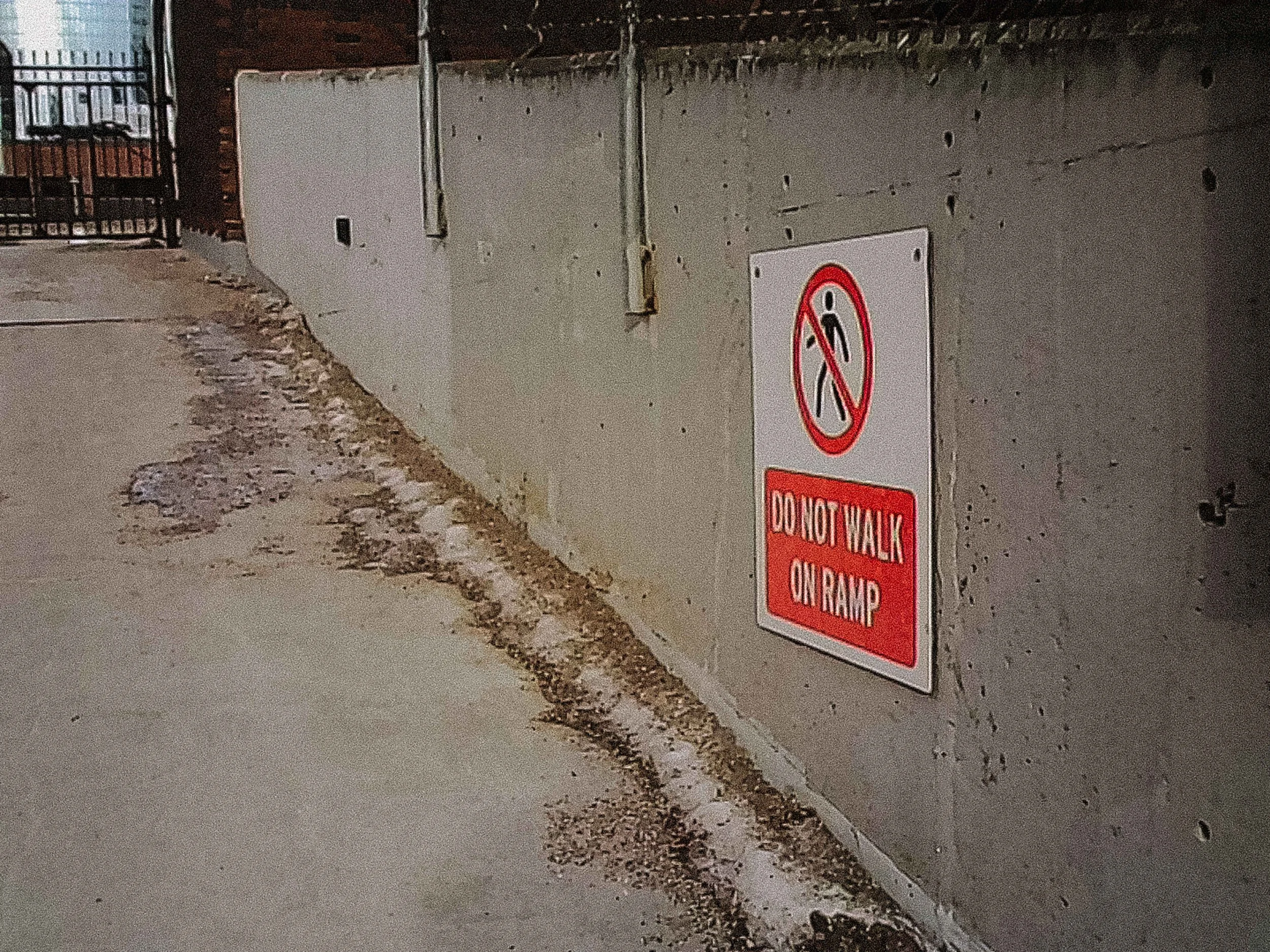 20260109_Street_KodakChamera_49.jpg