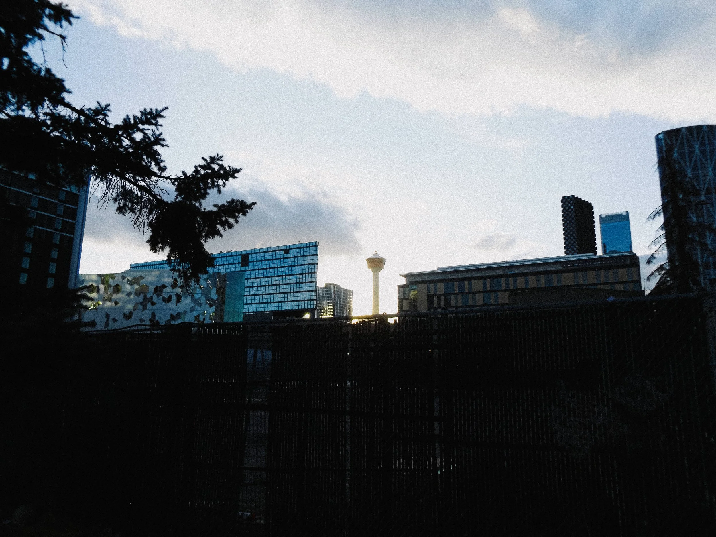 20260213_Street_byMarkFranzen-6.jpg