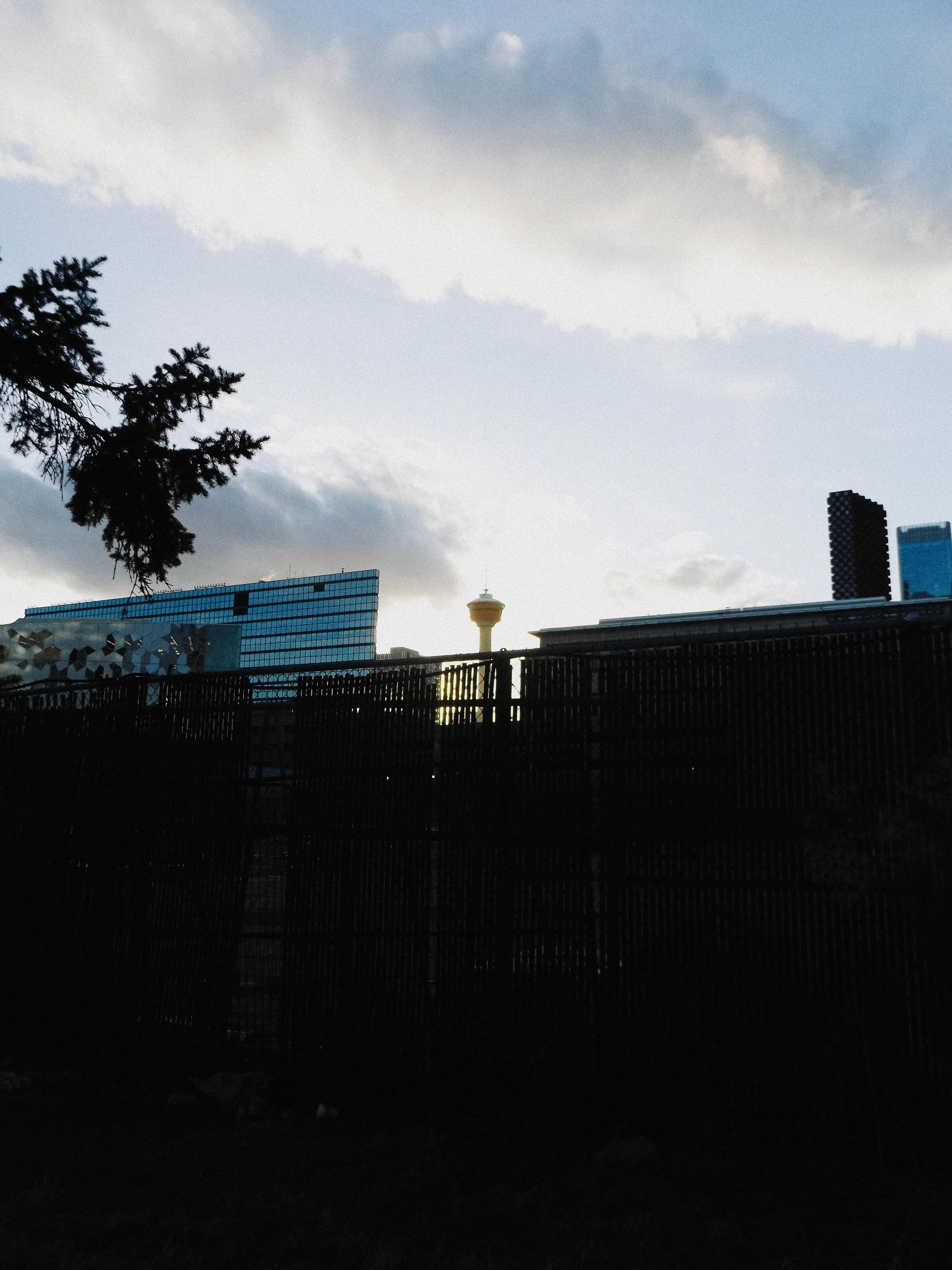 20260213_Street_byMarkFranzen-7.jpg