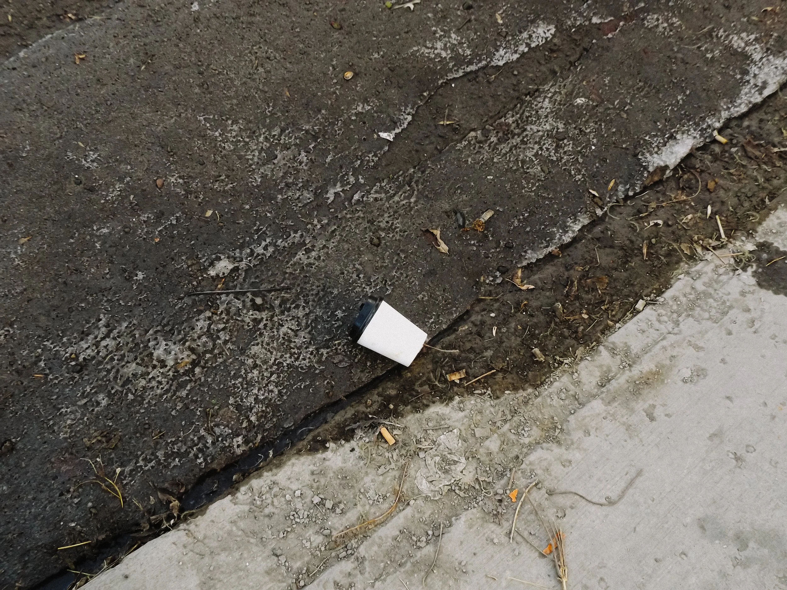 20260213_Street_byMarkFranzen-8.jpg