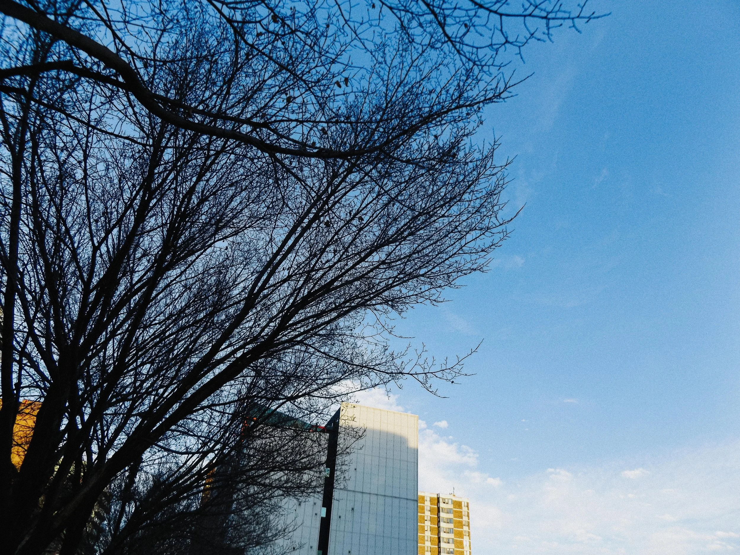 20260213_Street_byMarkFranzen-27.jpg