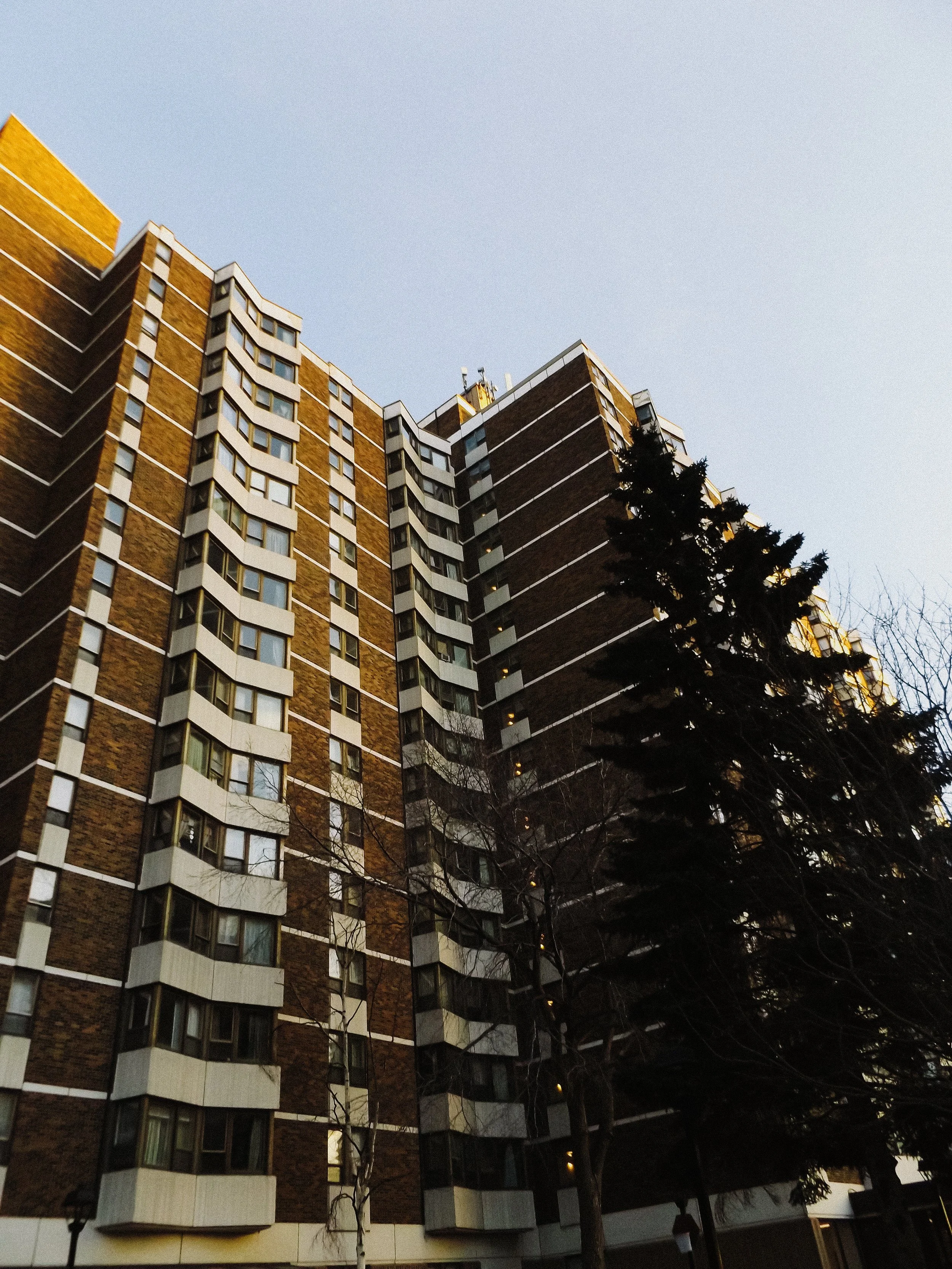 20260213_Street_byMarkFranzen-32.jpg