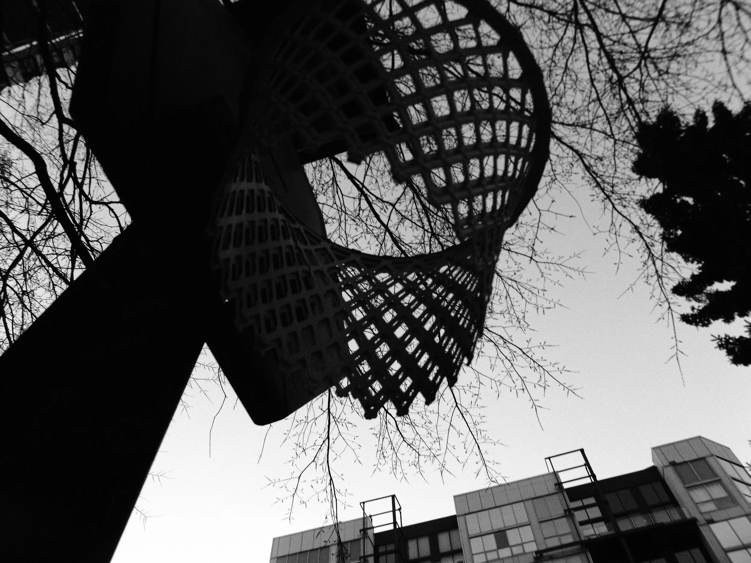 20260213_Street_byMarkFranzen-36.jpg