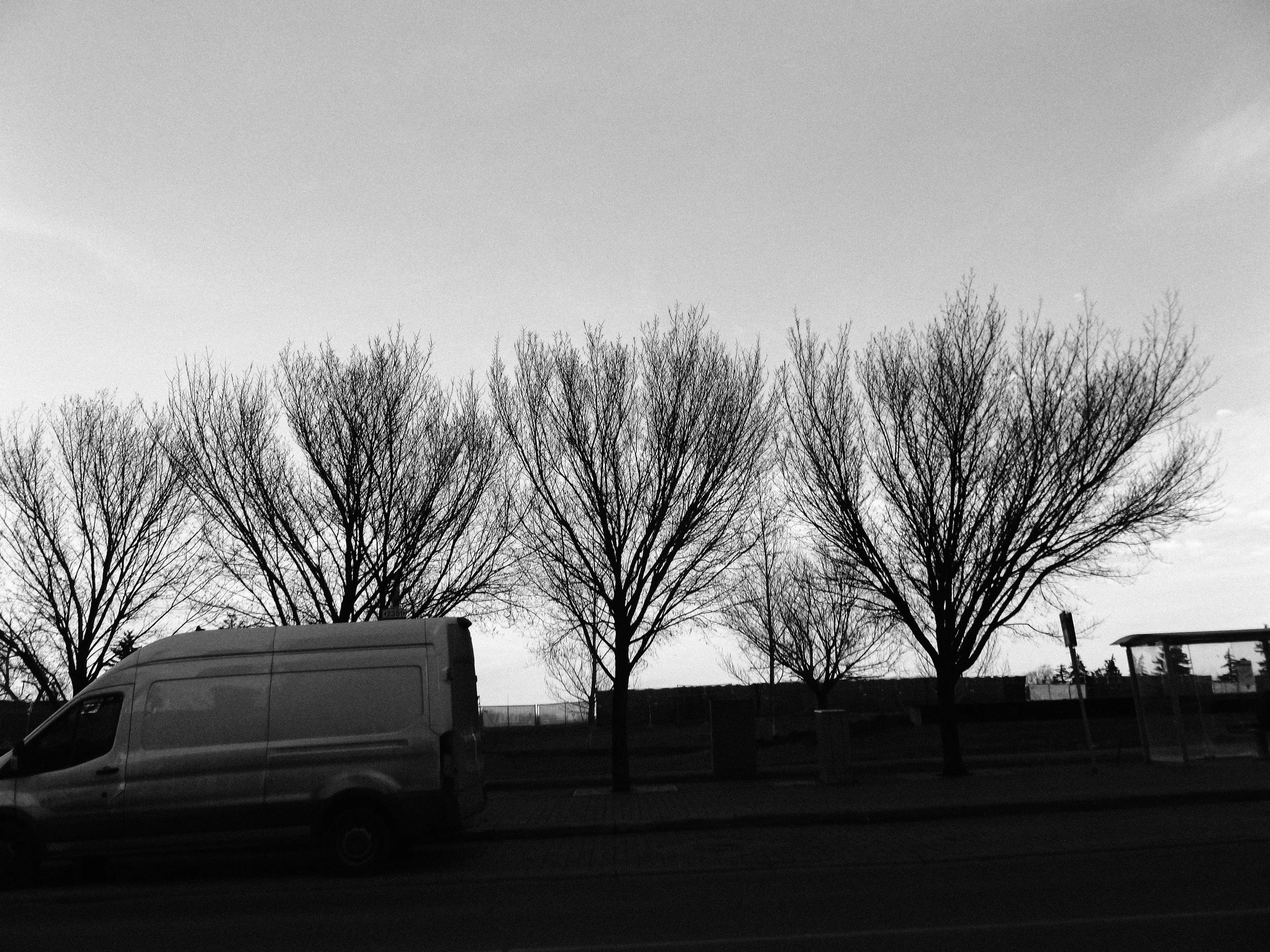 20260213_Street_byMarkFranzen-38.jpg