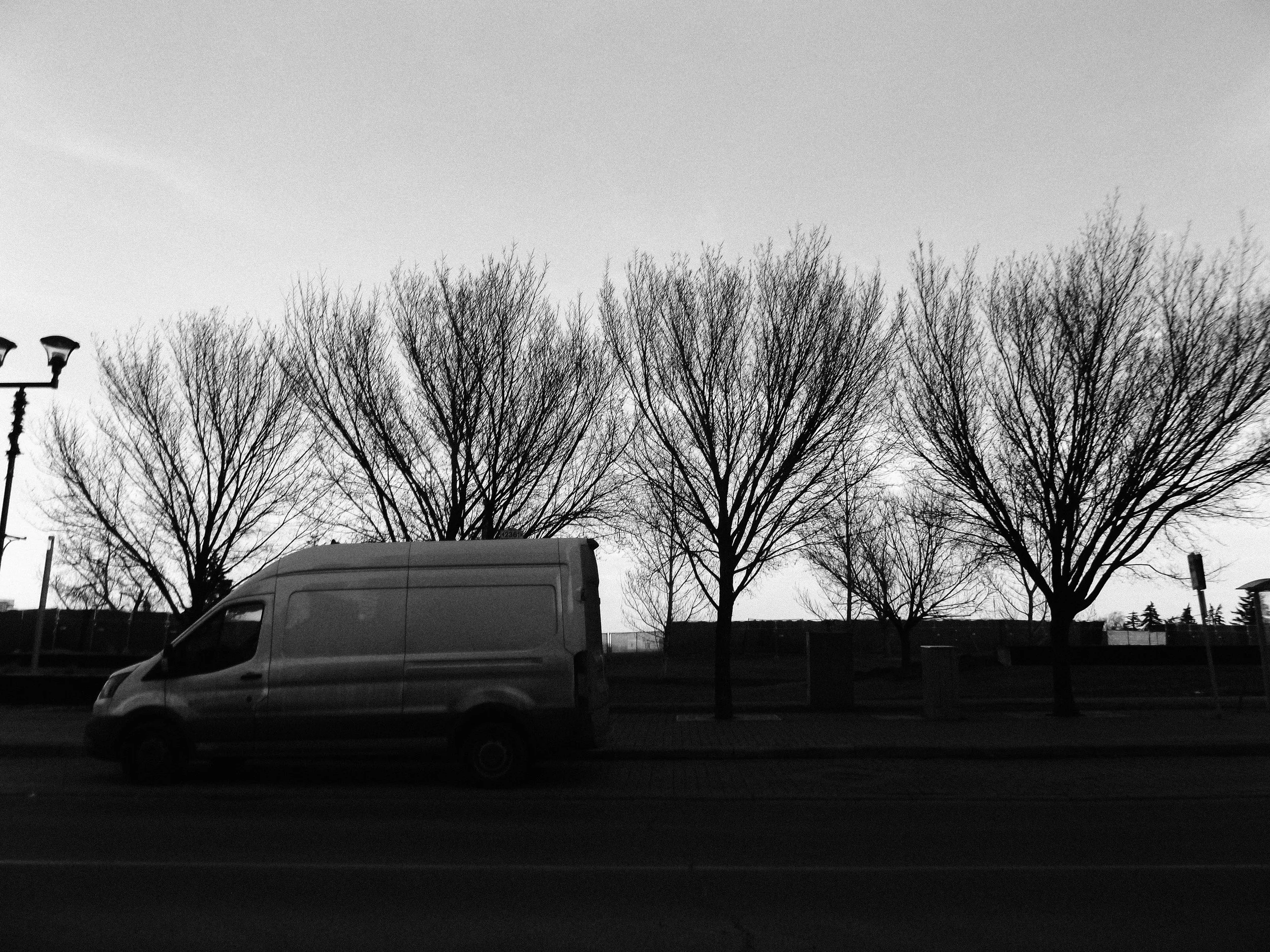 20260213_Street_byMarkFranzen-39.jpg