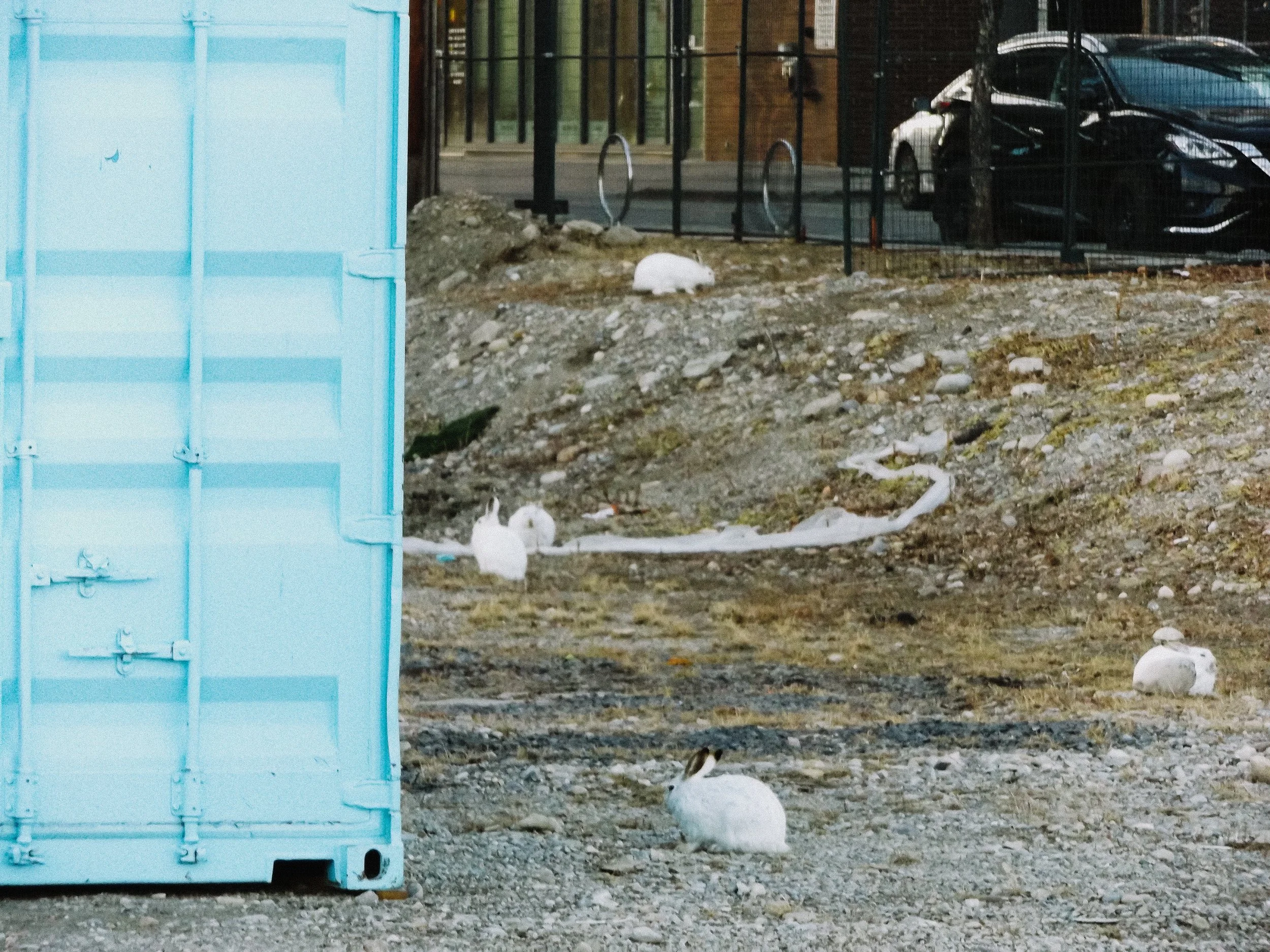 20260213_Street_byMarkFranzen-41.jpg