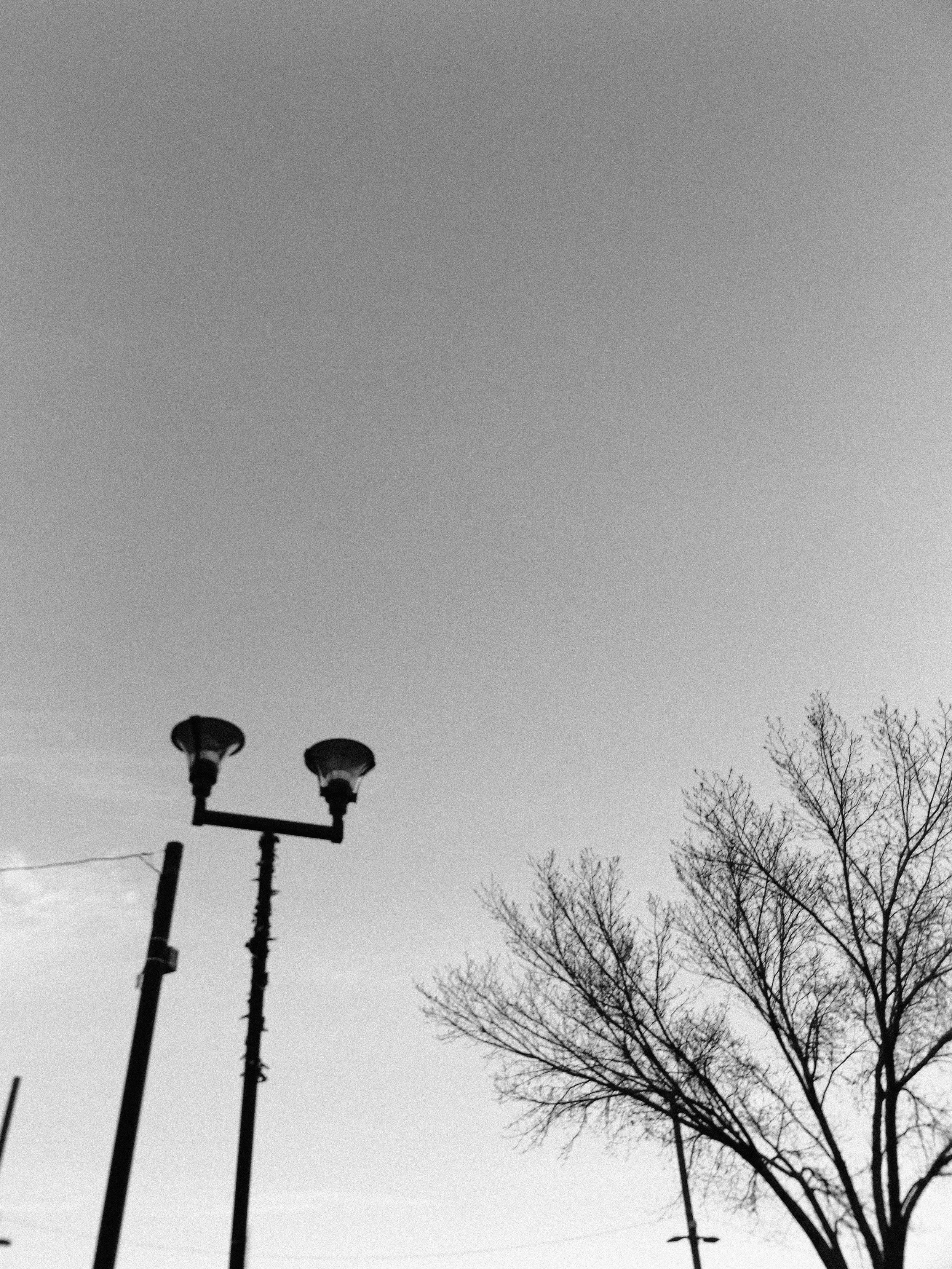 20260213_Street_byMarkFranzen-45.jpg