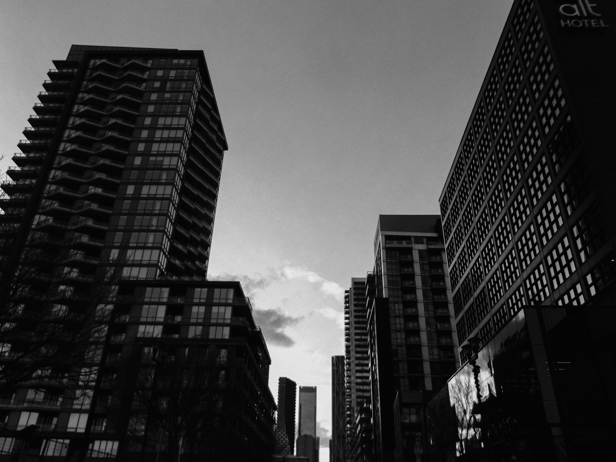 20260213_Street_byMarkFranzen-48.jpg