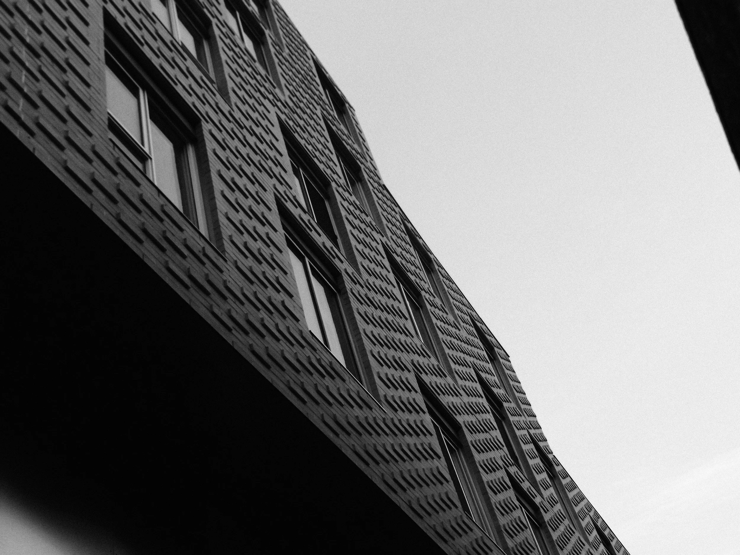 20260213_Street_byMarkFranzen-53.jpg