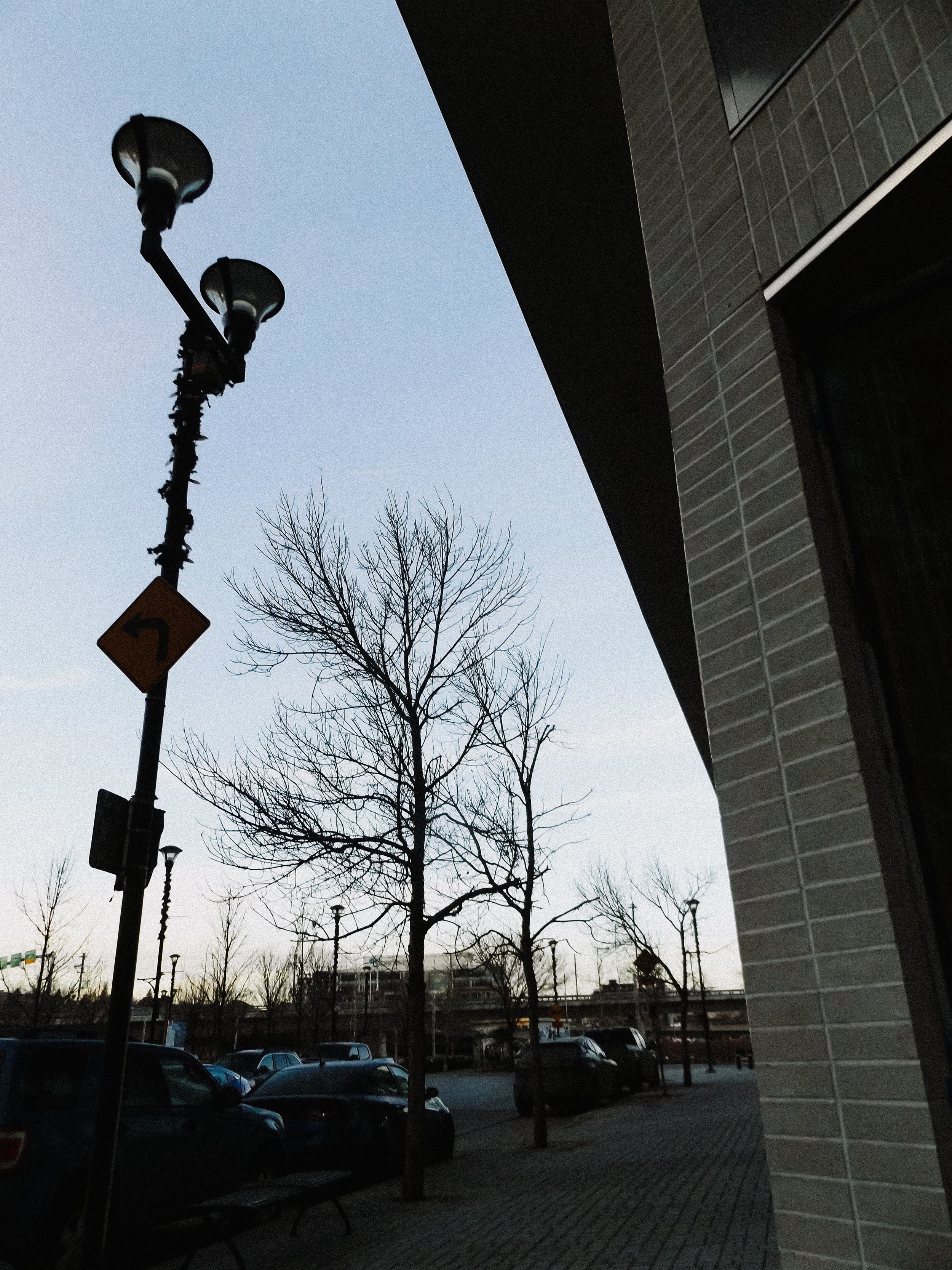 20260213_Street_byMarkFranzen-61.jpg