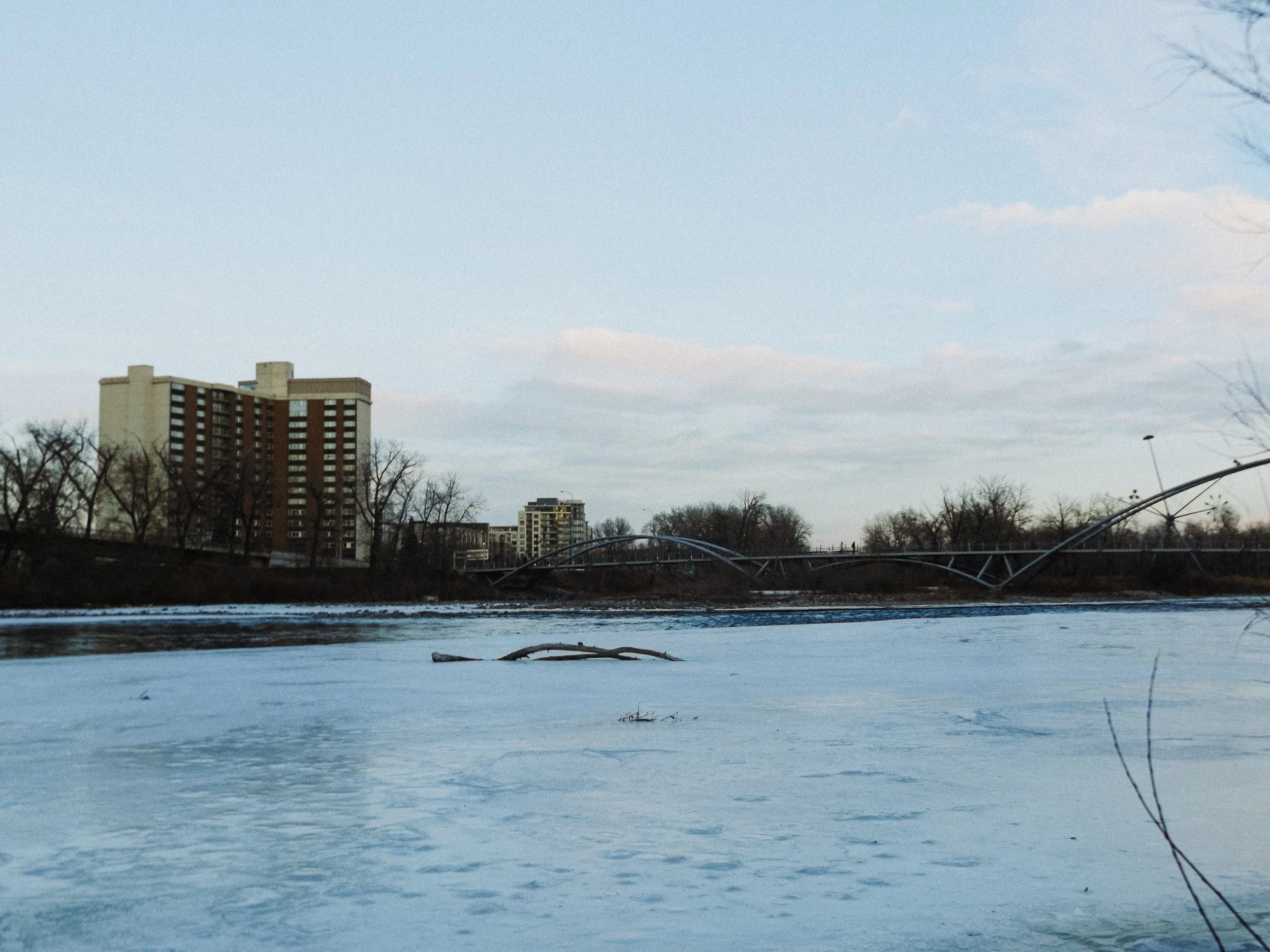 20260213_Street_byMarkFranzen-64.jpg