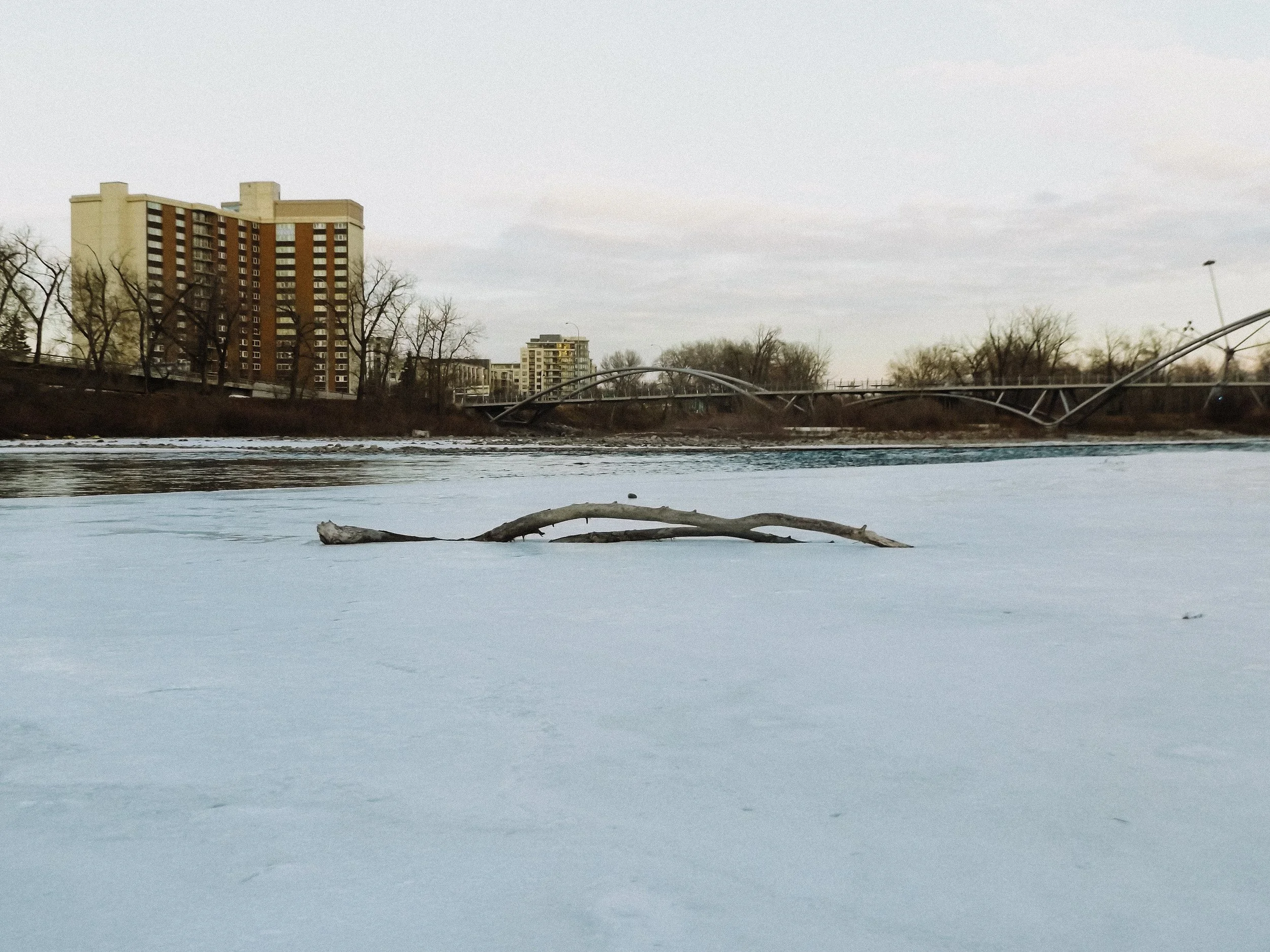 20260213_Street_byMarkFranzen-65.jpg