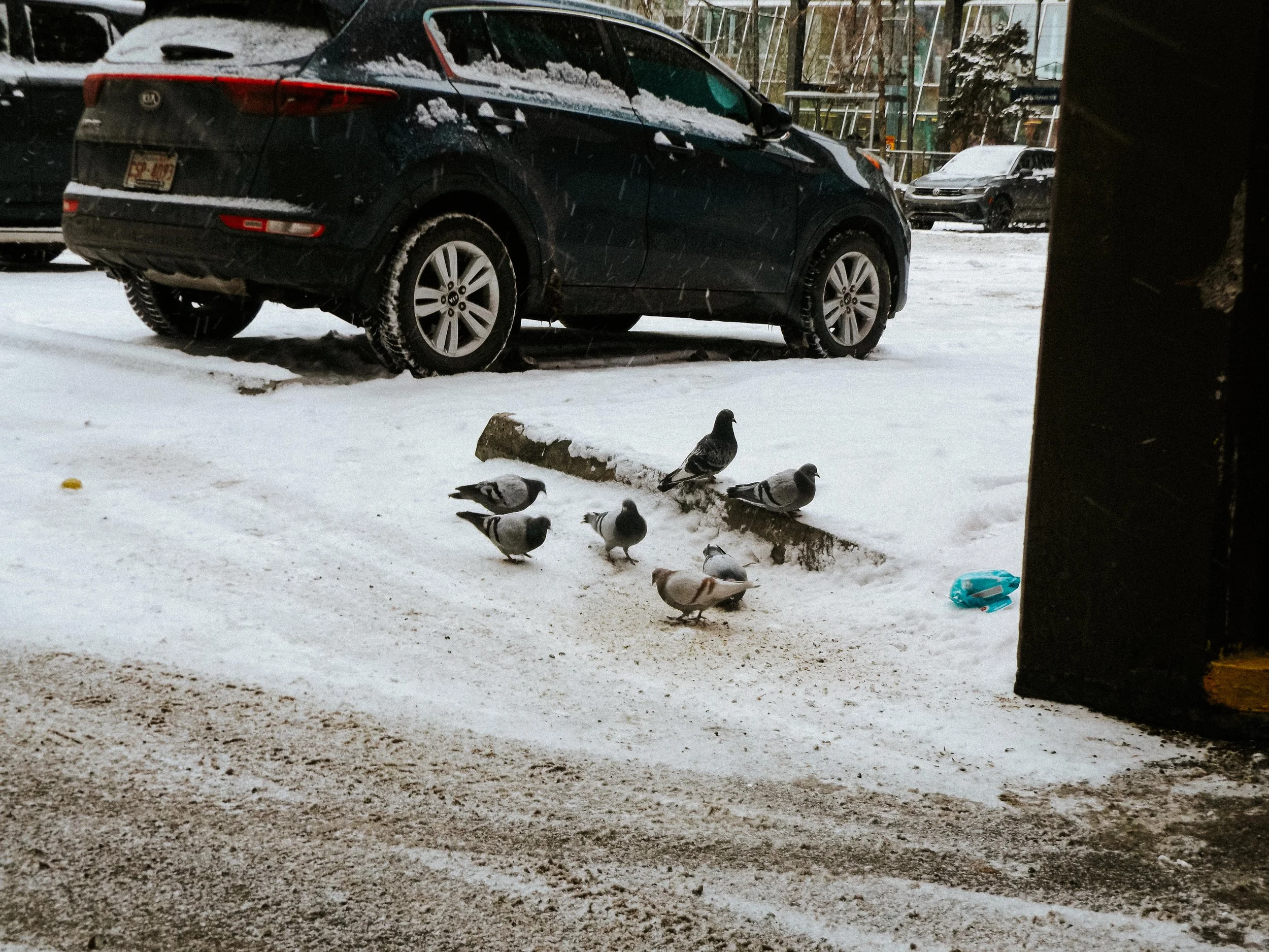 20260227_Mark_StreetSNOW-9.jpg