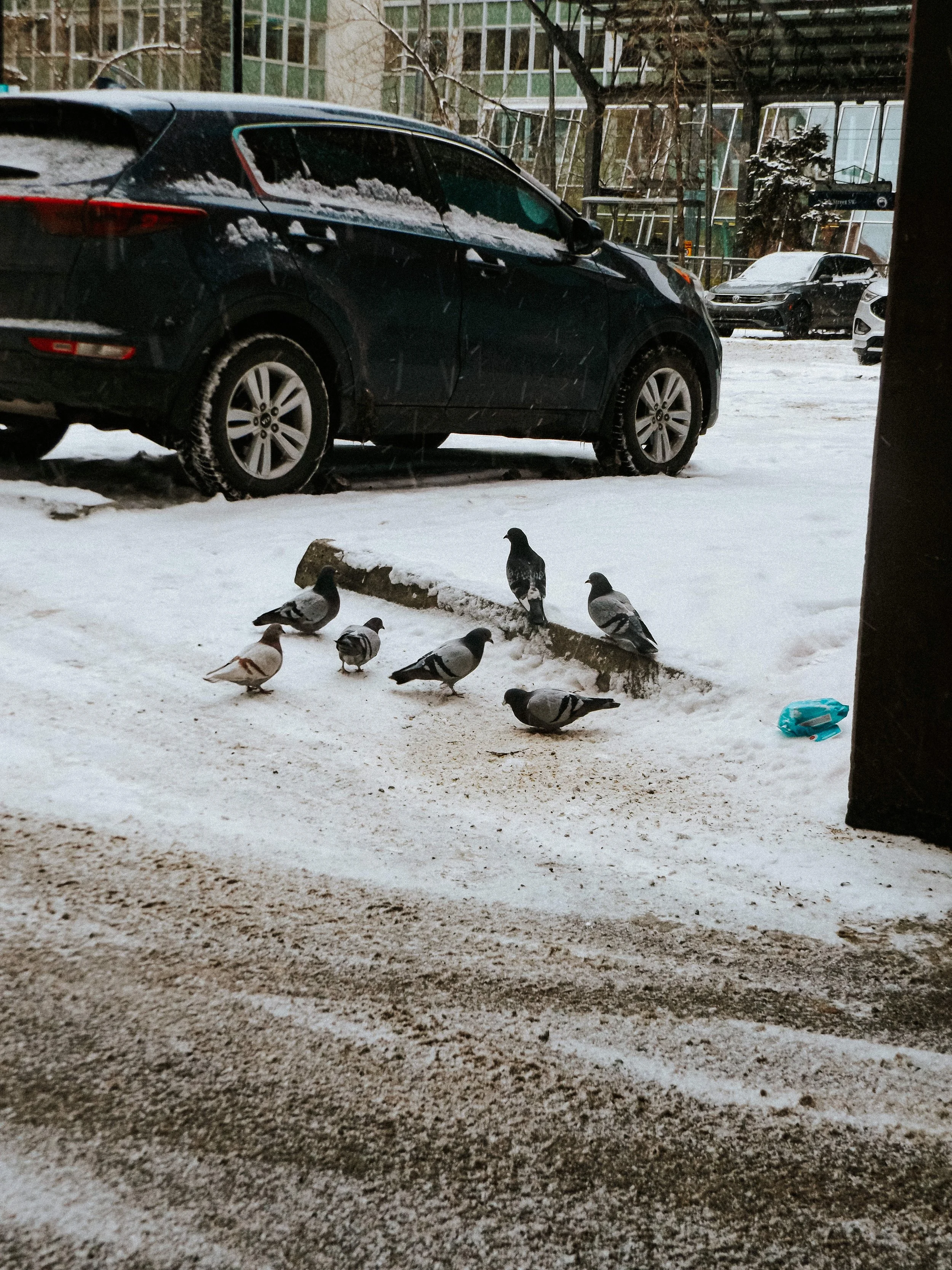 20260227_Mark_StreetSNOW-10.jpg