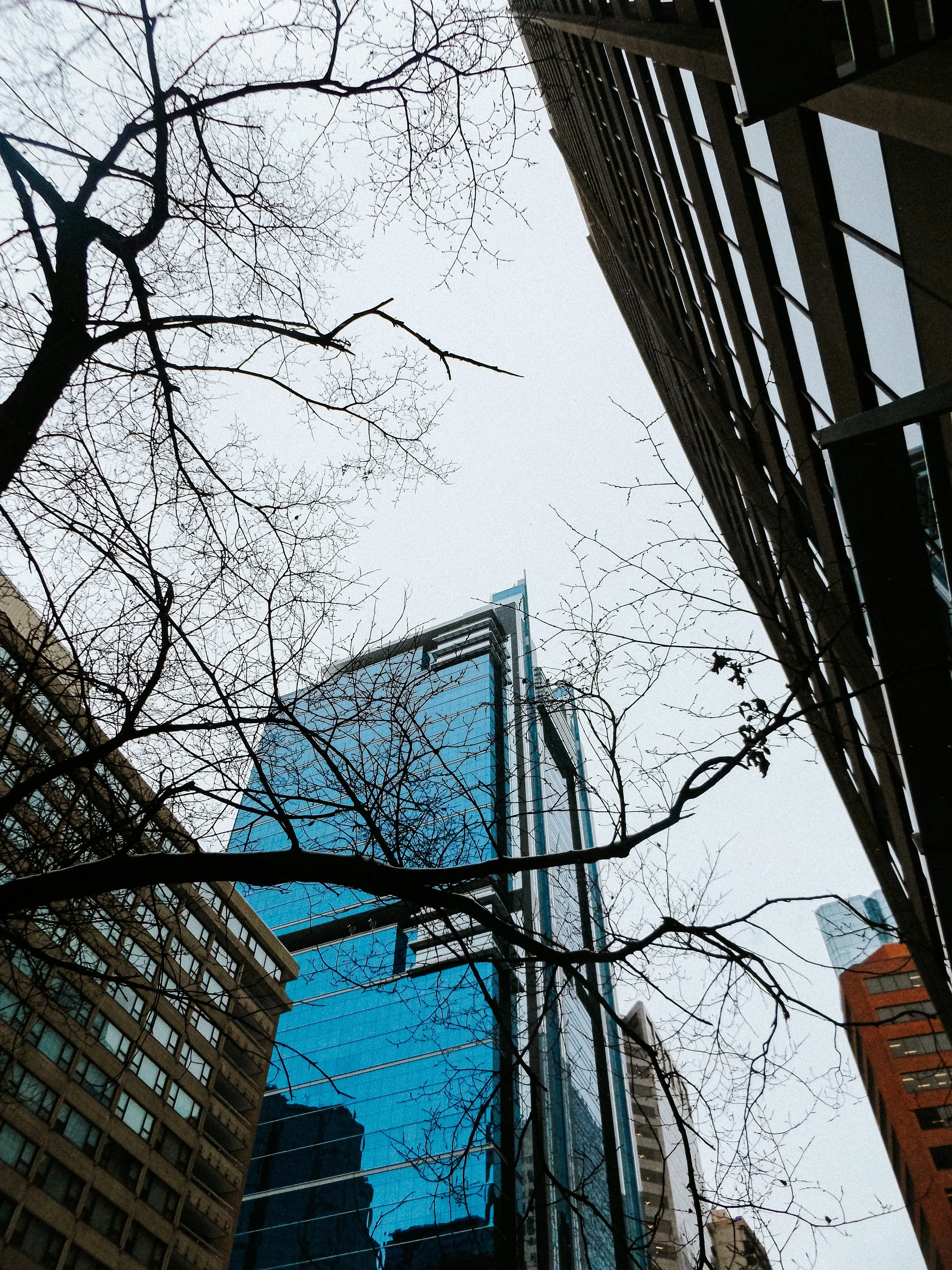 20260227_Mark_StreetSNOW-28.jpg