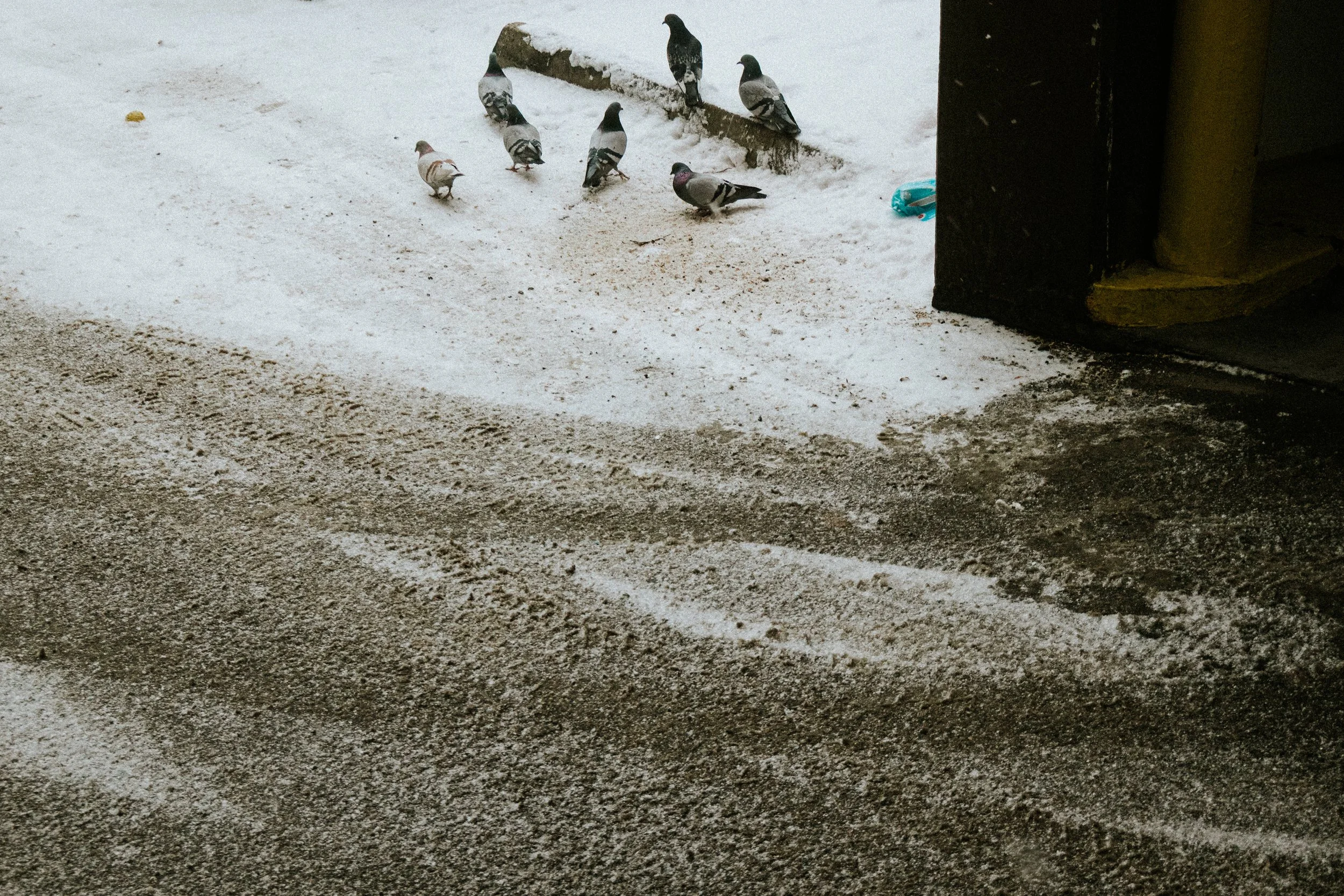 20260227_Franzen_StreetSNOW-25.jpg