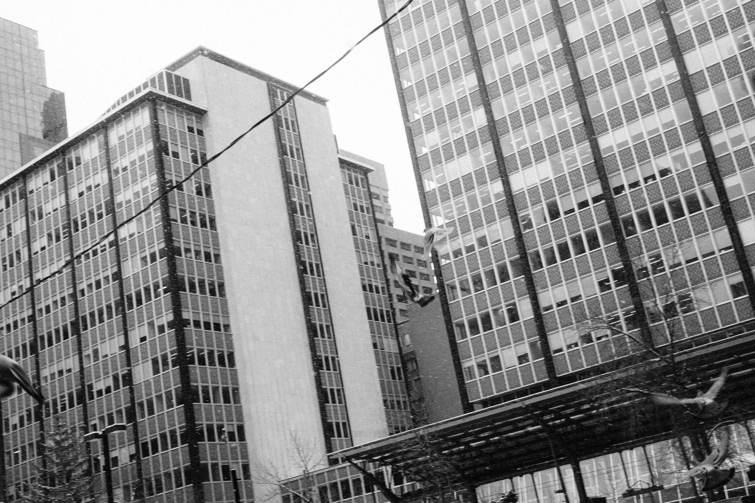 20260227_Franzen_StreetSNOW-27.jpg