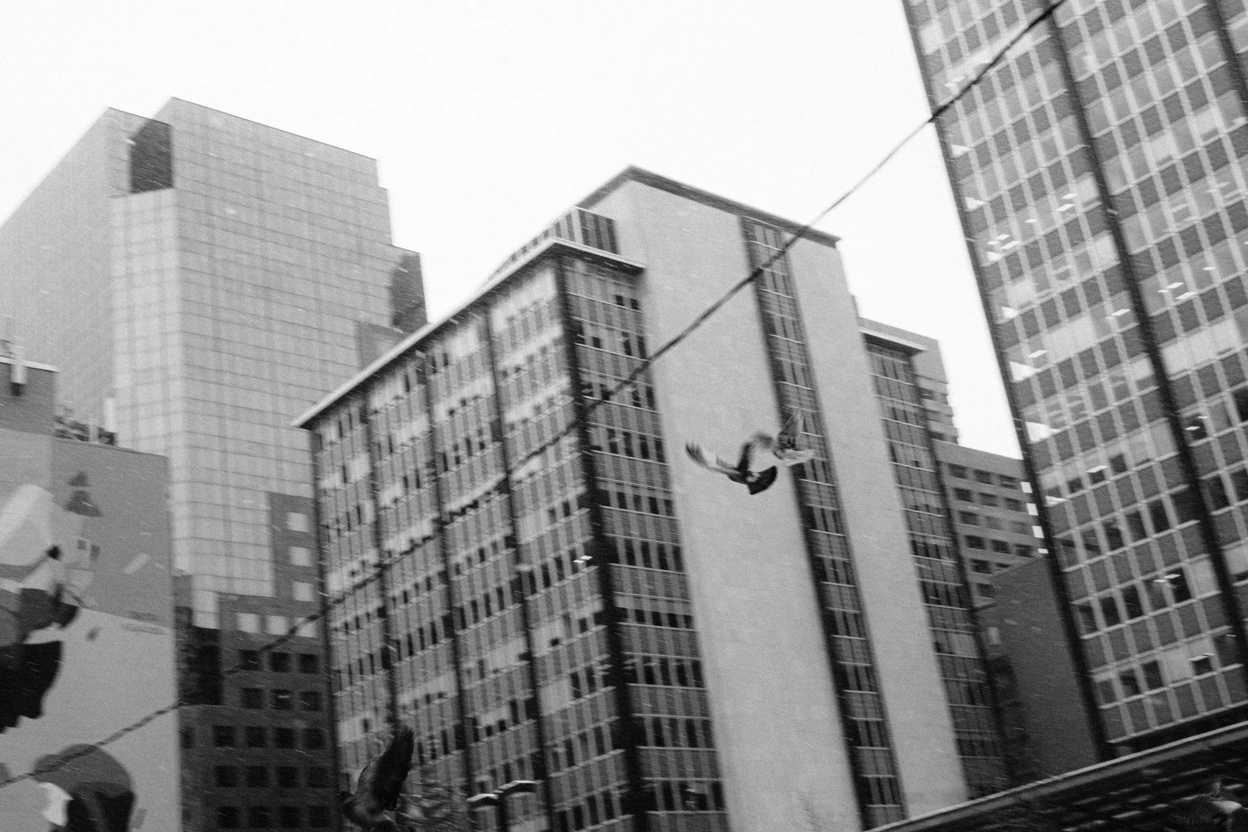 20260227_Franzen_StreetSNOW-28.jpg