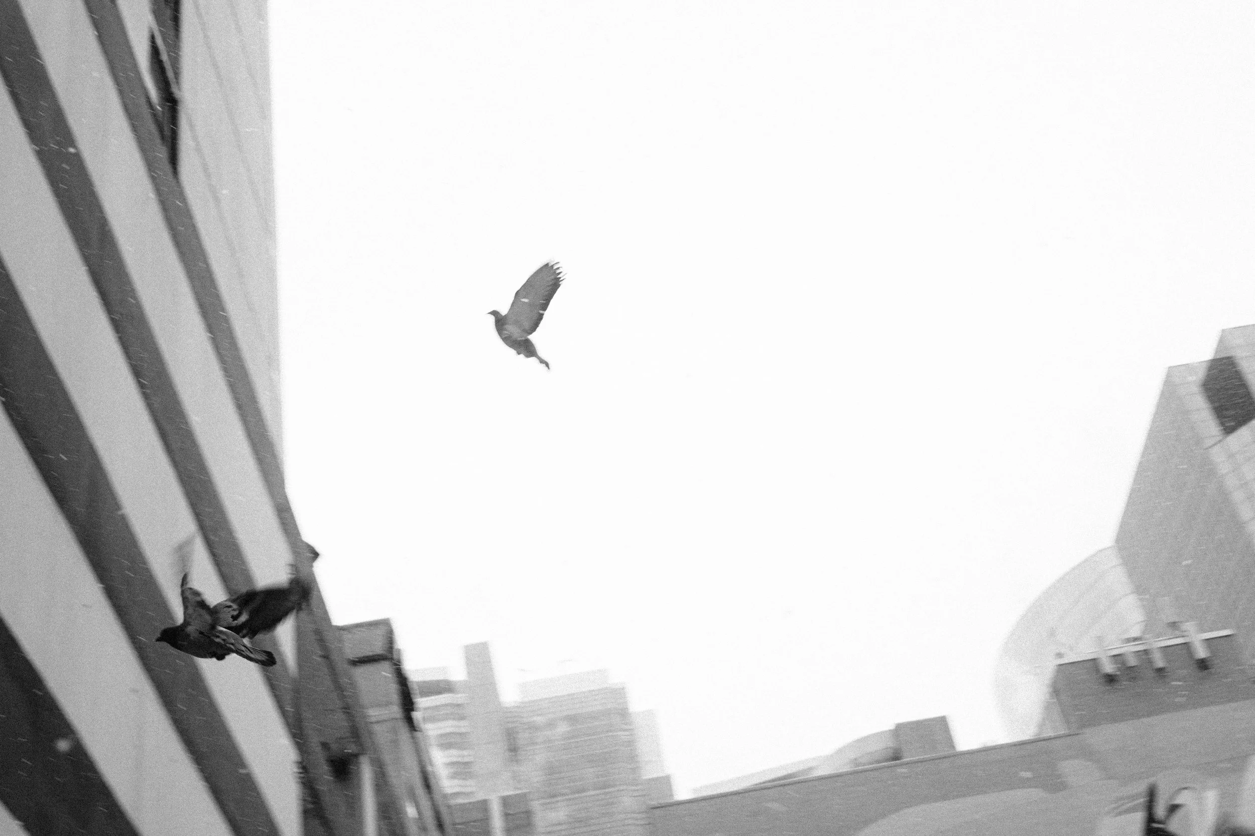20260227_Franzen_StreetSNOW-29.jpg