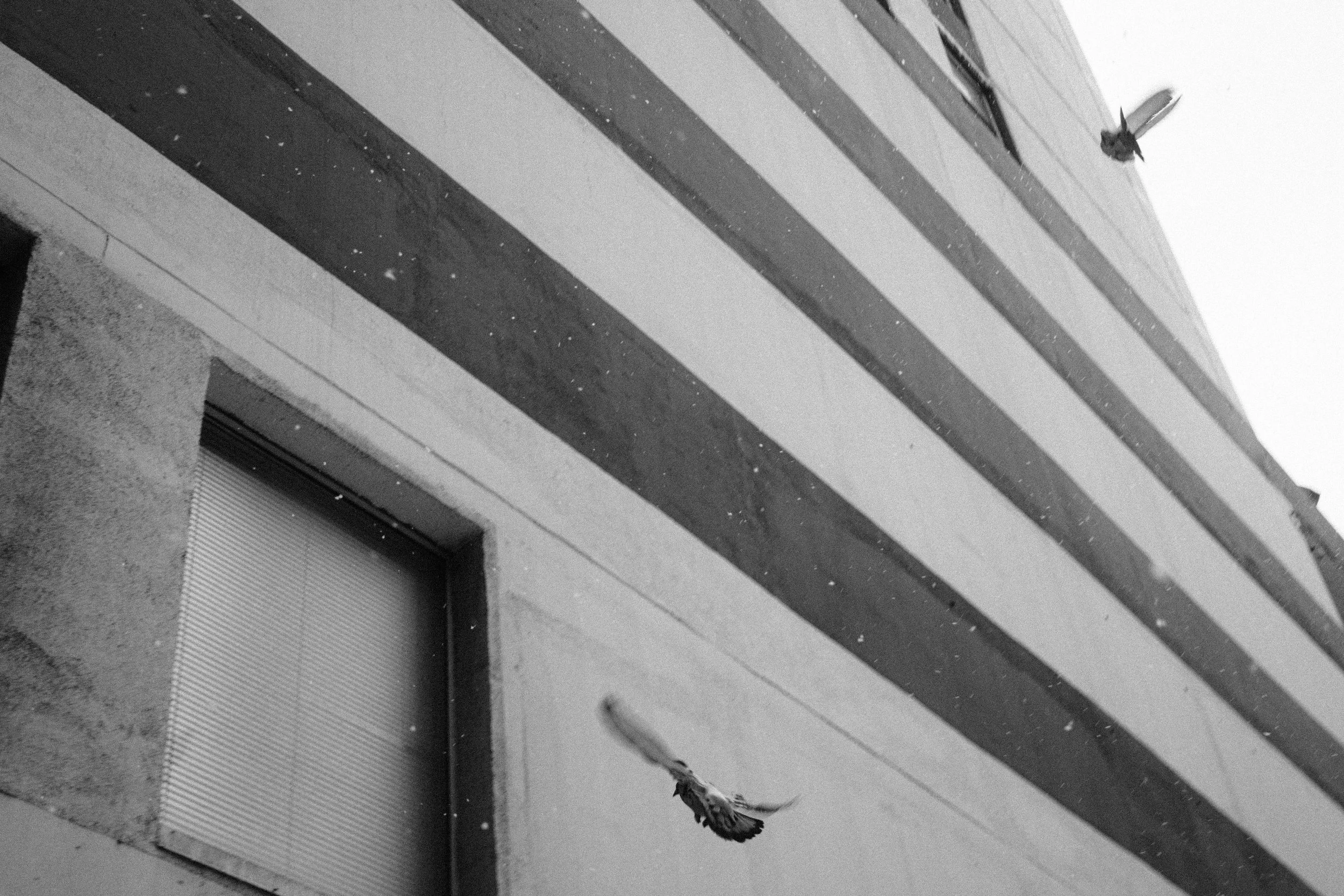 20260227_Franzen_StreetSNOW-30.jpg