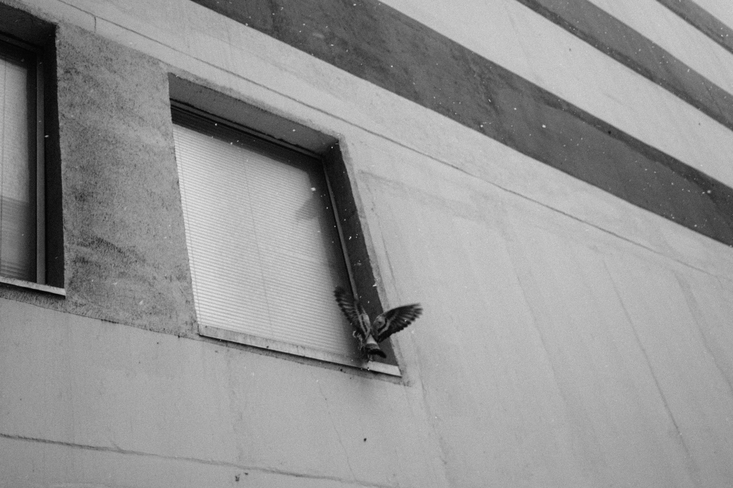 20260227_Franzen_StreetSNOW-31.jpg