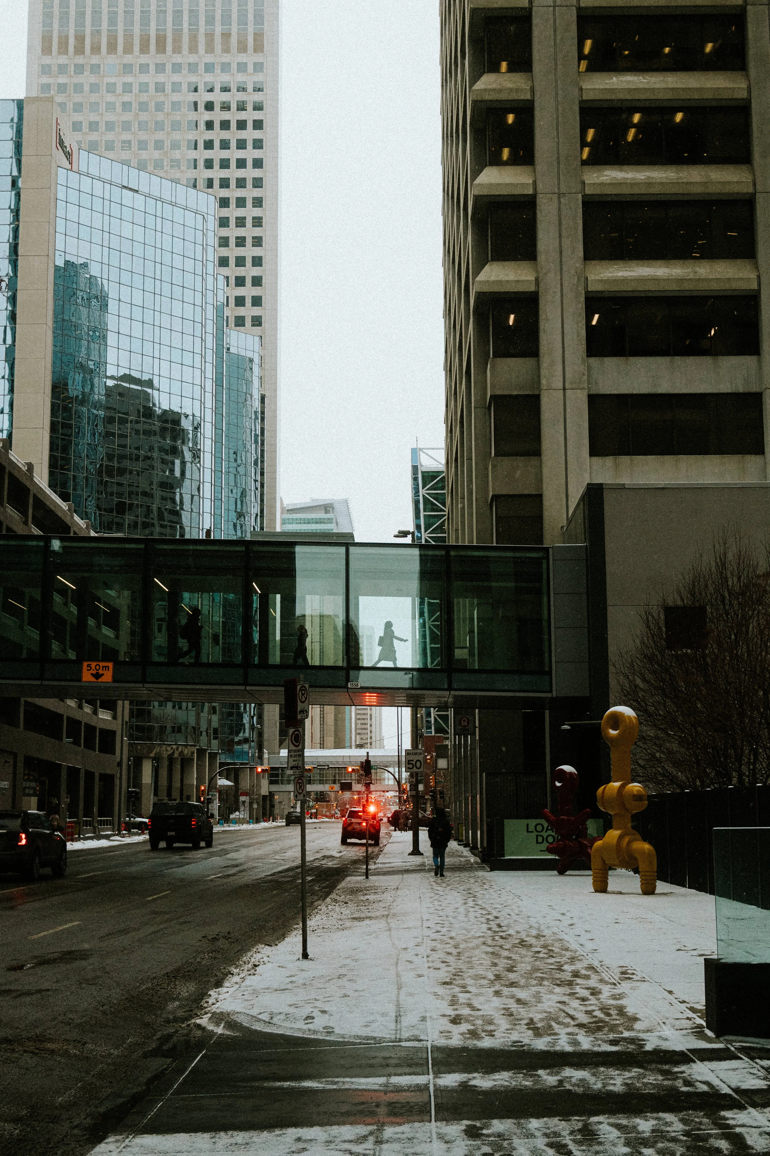 20260227_Franzen_StreetSNOW-57.jpg