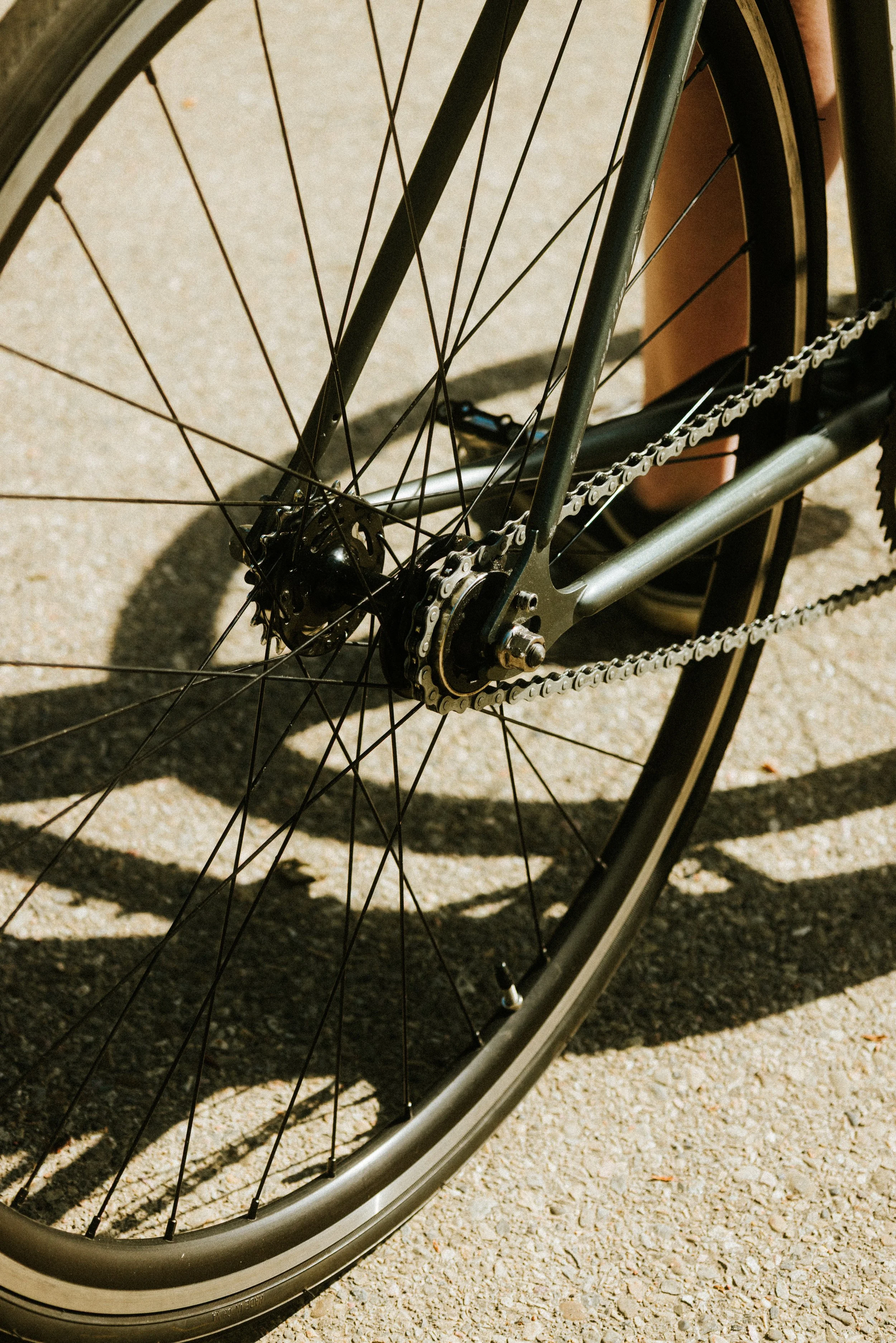 20260518_Pri_NewBIKE-6.jpg